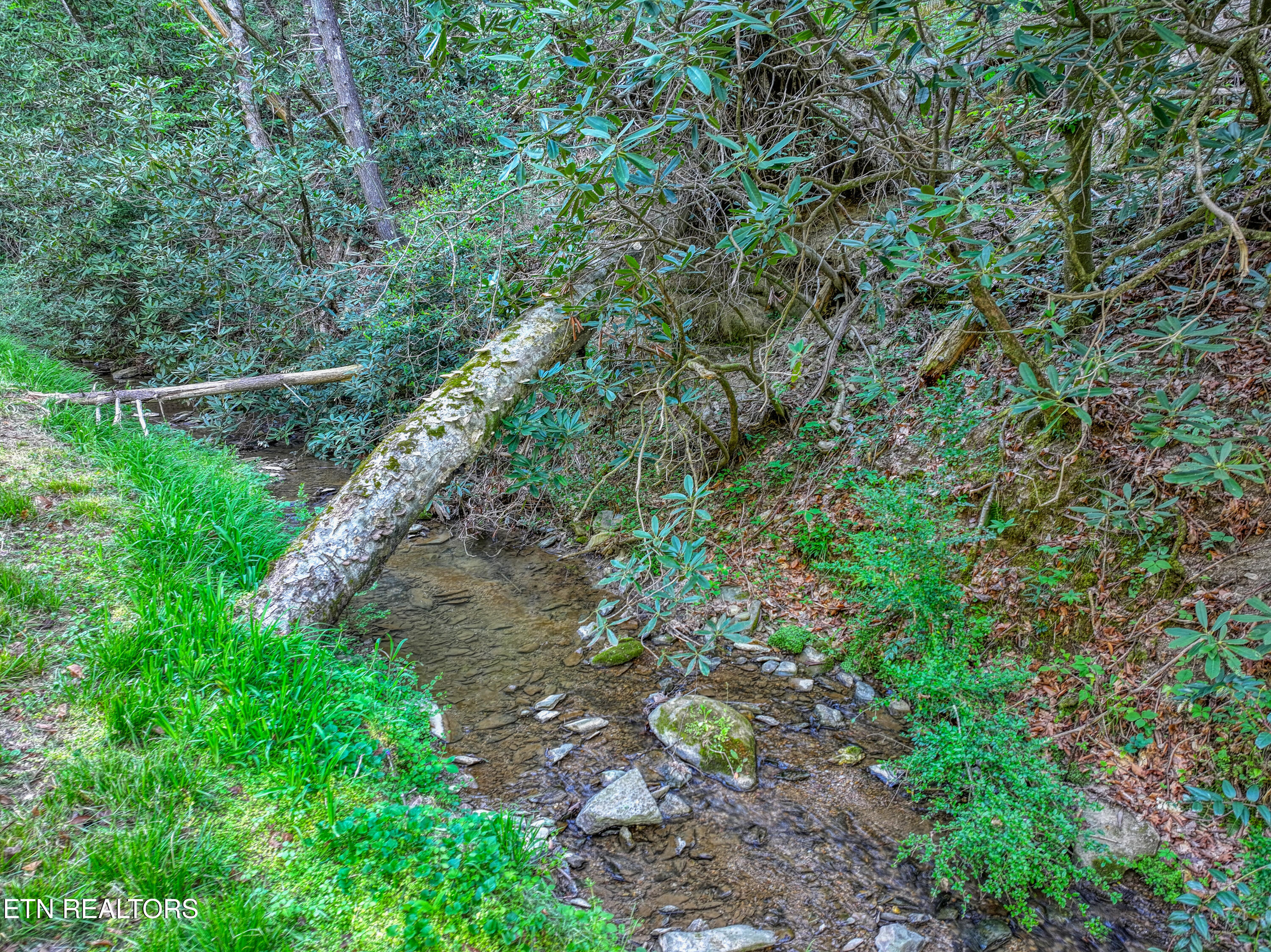 Cartertown Road Gatlinburg TN 37738
