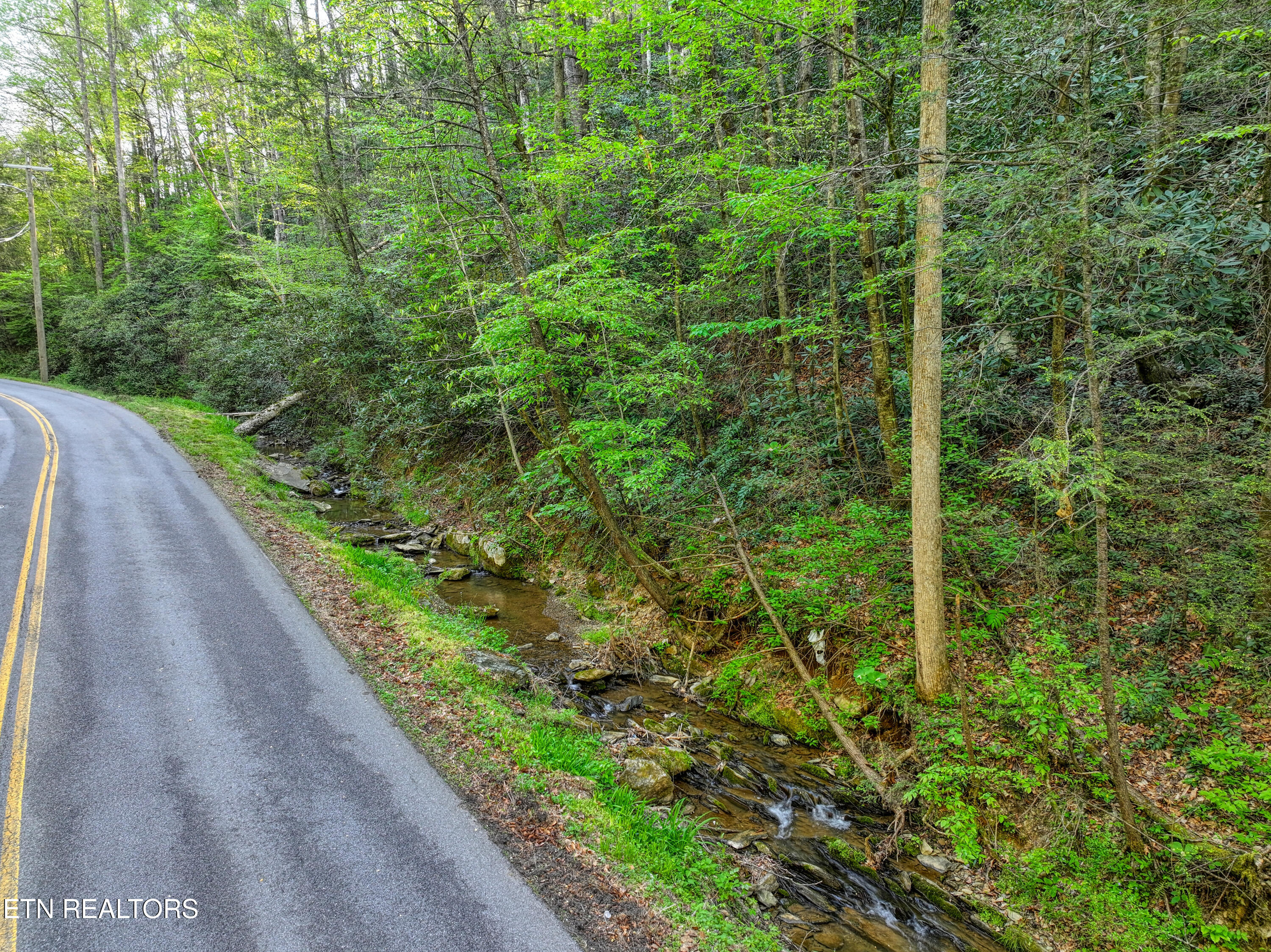 Cartertown Road Gatlinburg TN 37738