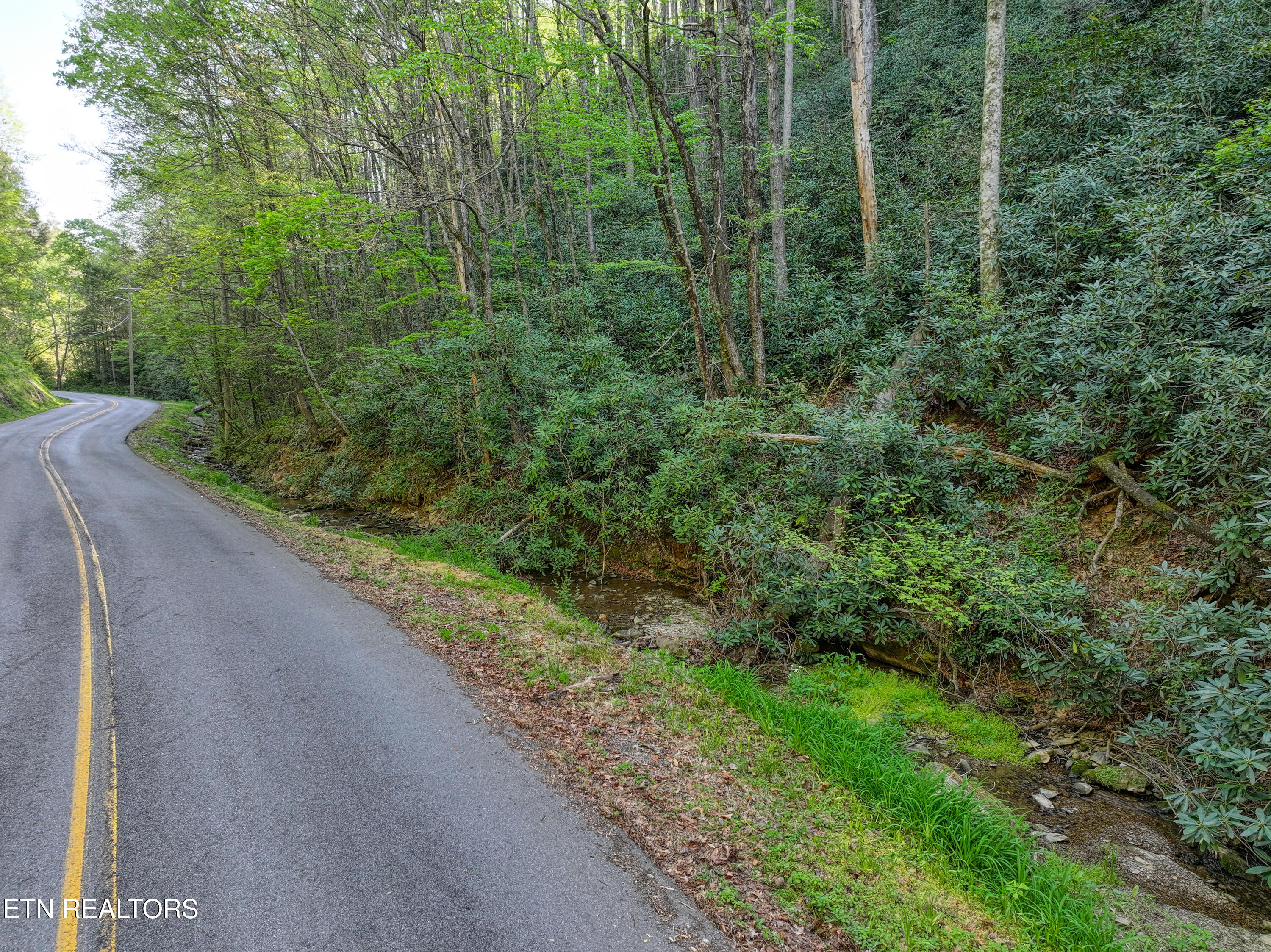 Cartertown Road Gatlinburg TN 37738