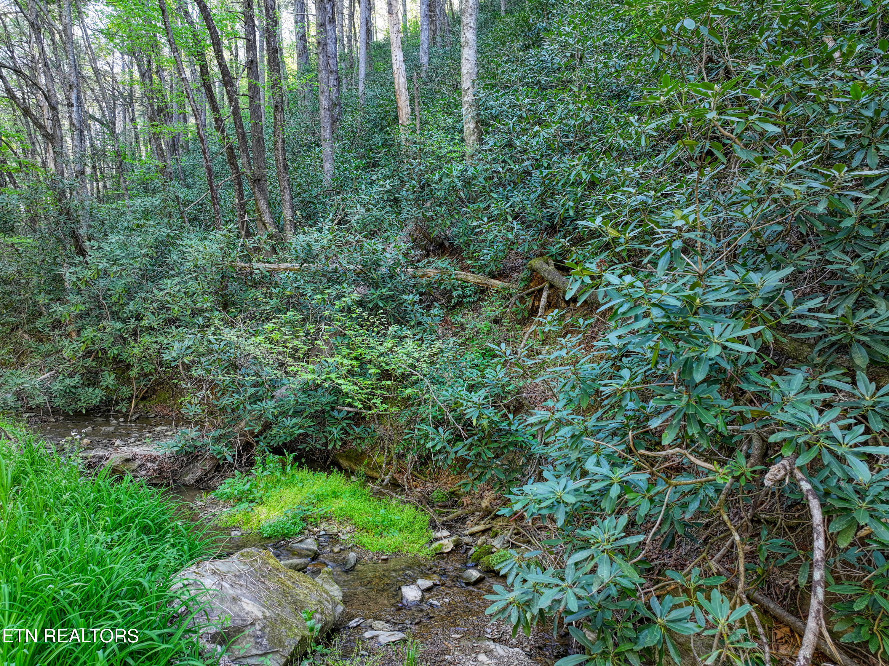 Cartertown Road Gatlinburg TN 37738