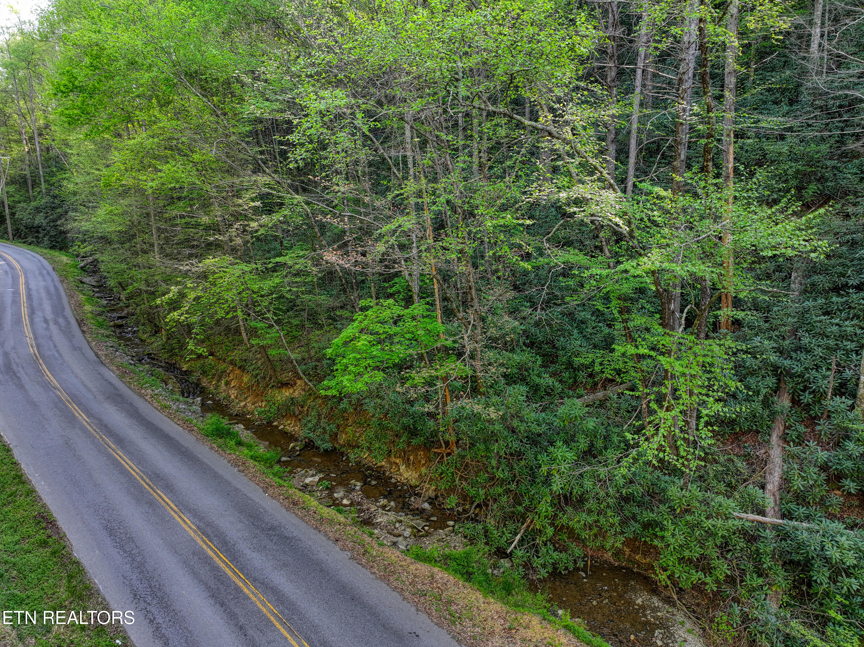 Cartertown Road Gatlinburg TN 37738