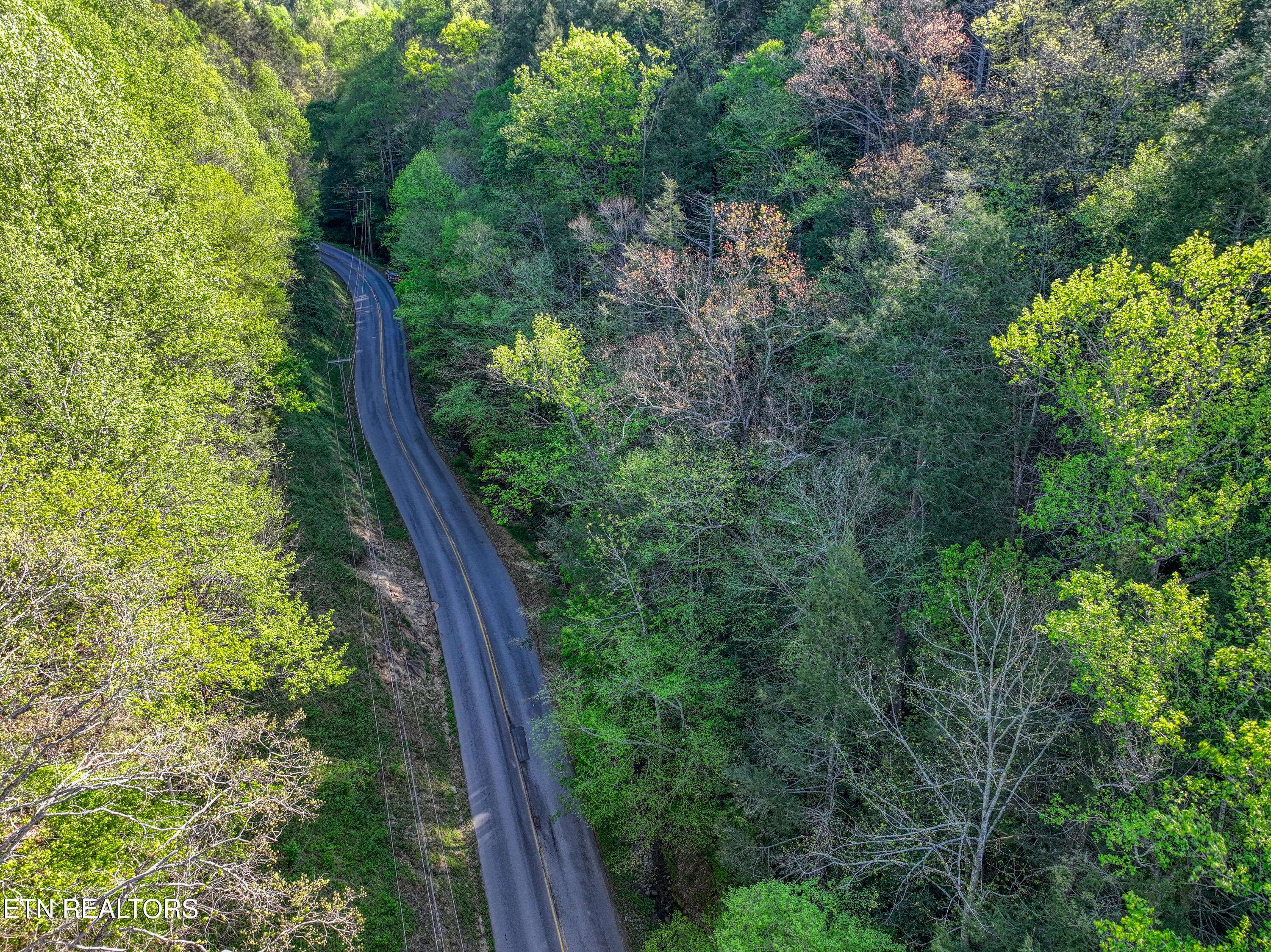 Cartertown Road Gatlinburg TN 37738