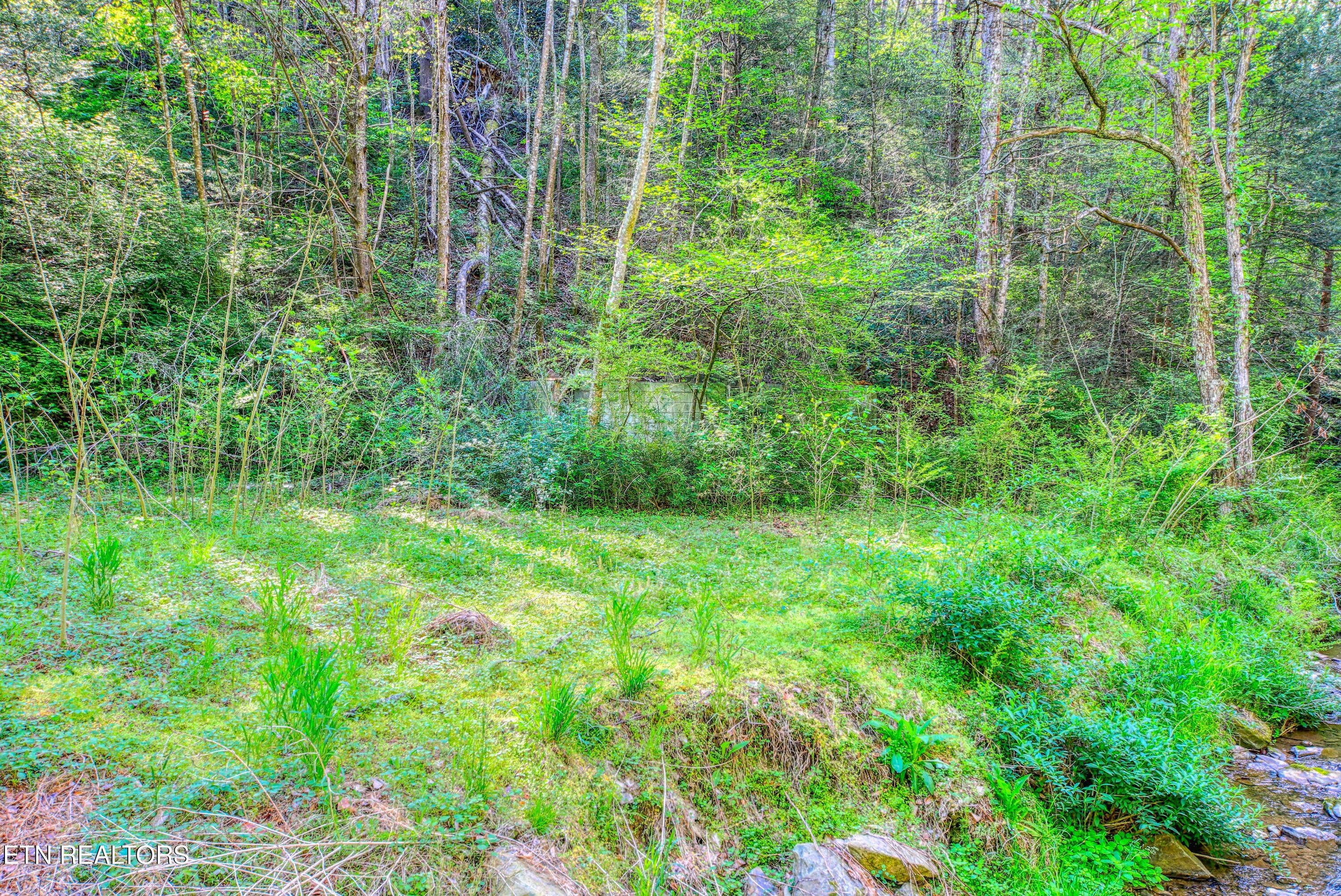 Cartertown Road Gatlinburg TN 37738