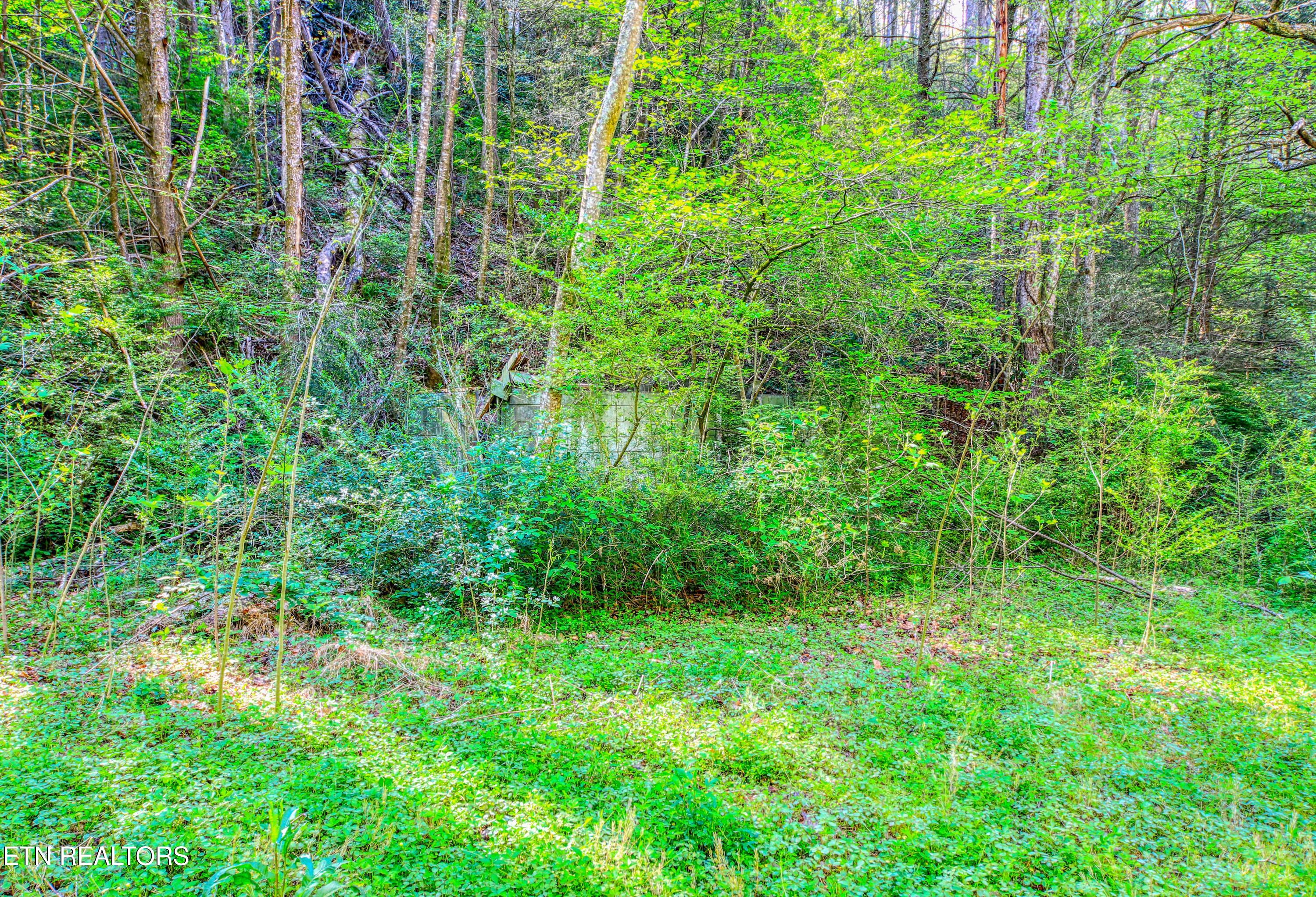 Cartertown Road Gatlinburg TN 37738