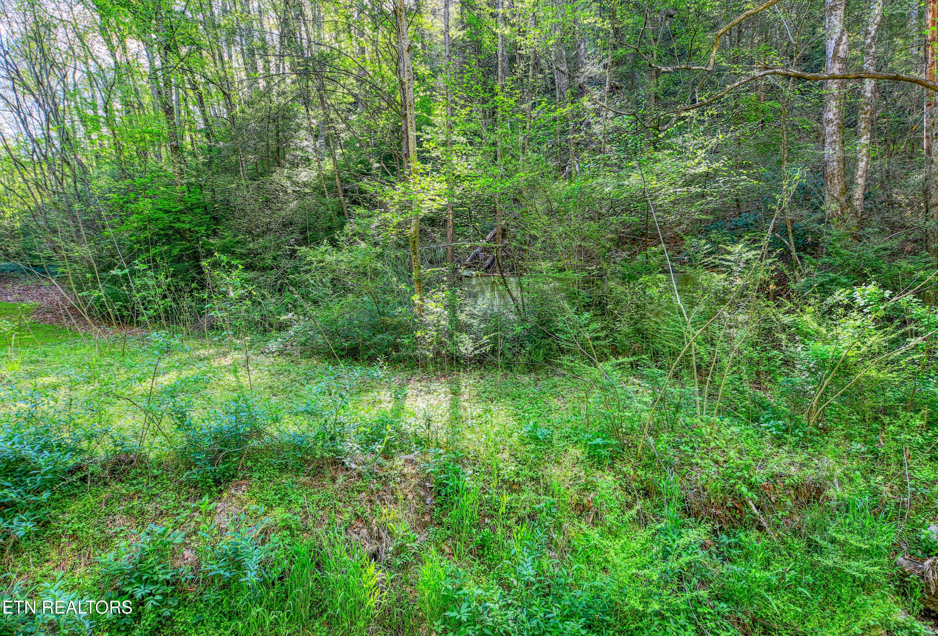 Cartertown Road Gatlinburg TN 37738
