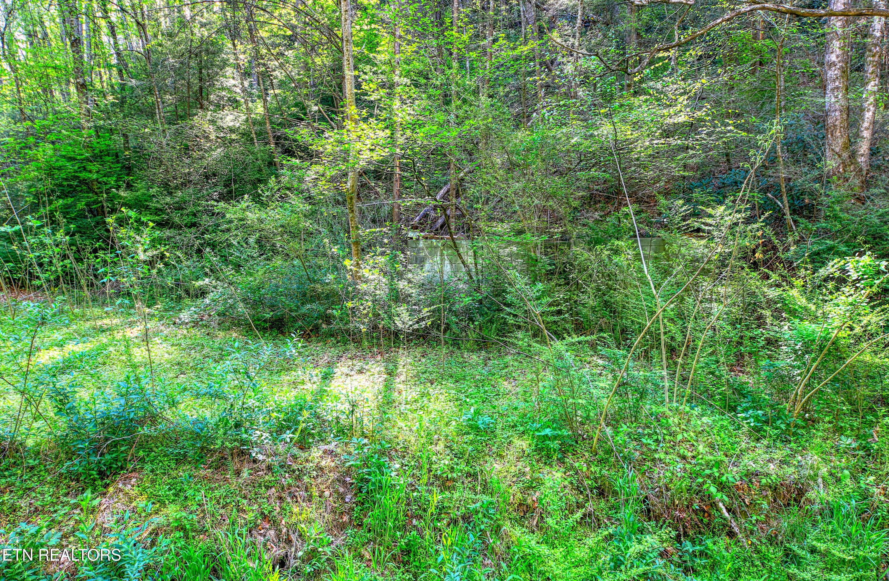 Cartertown Road Gatlinburg TN 37738