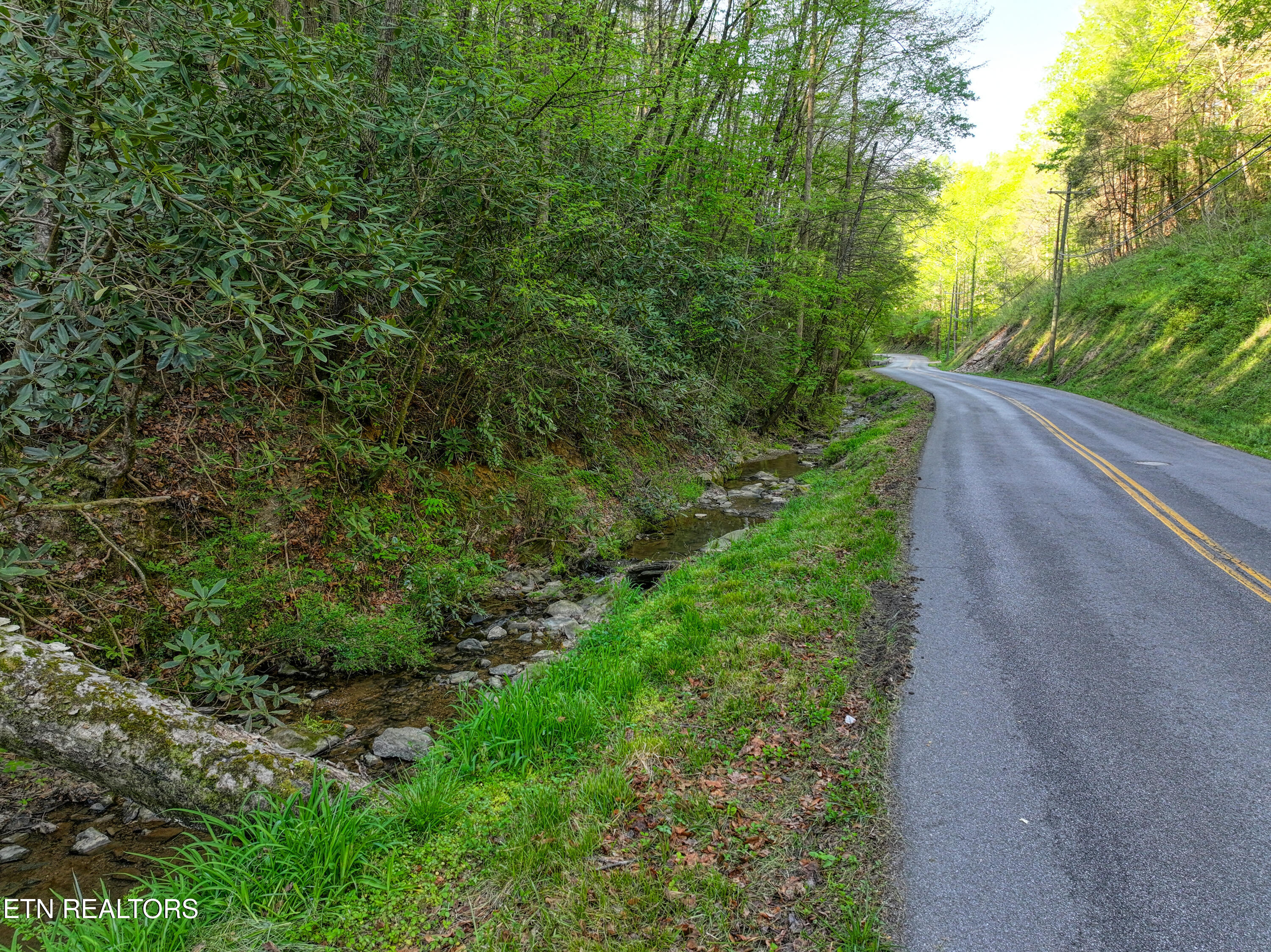 Cartertown Road Gatlinburg TN 37738