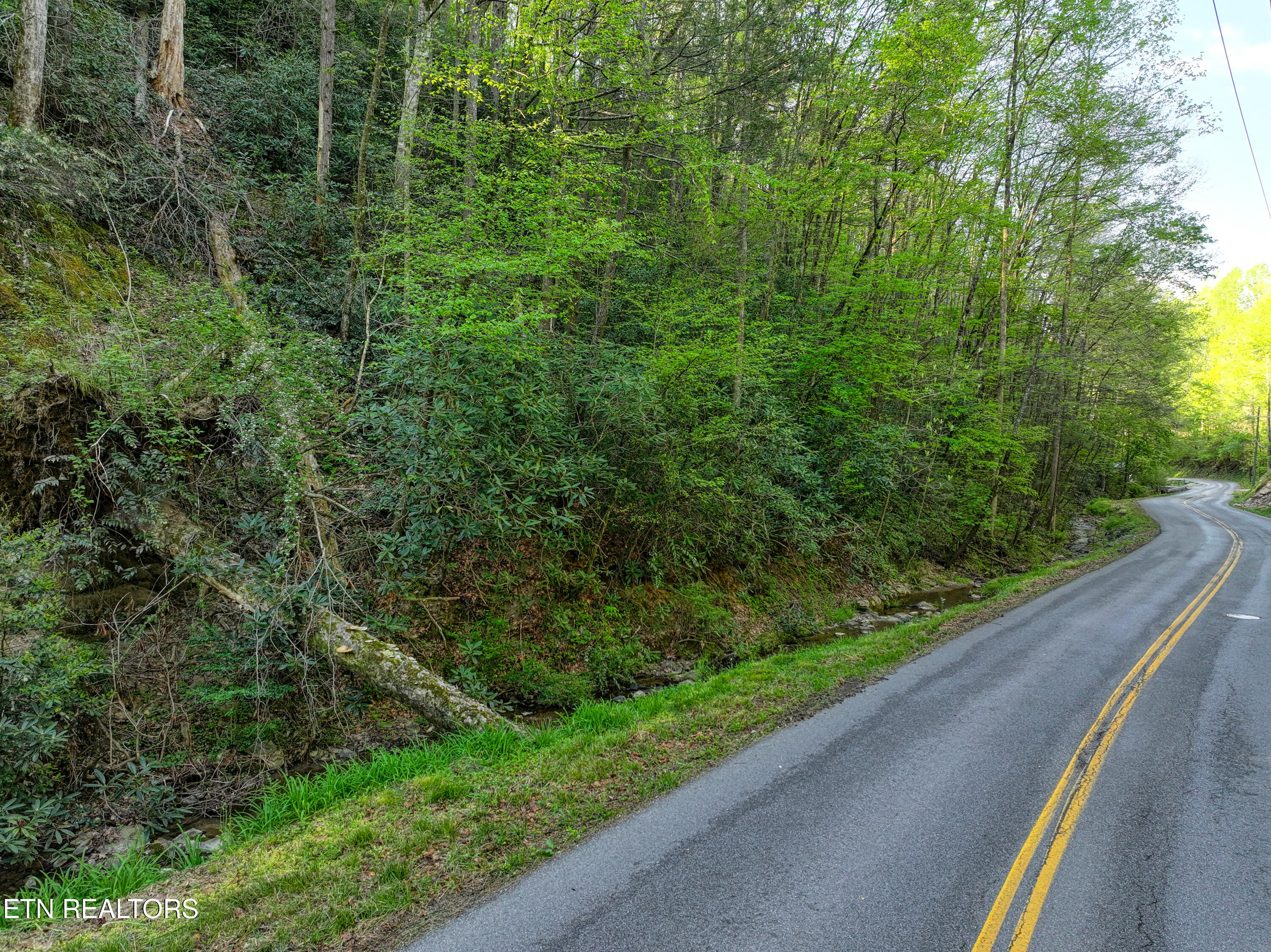 Cartertown Road Gatlinburg TN 37738