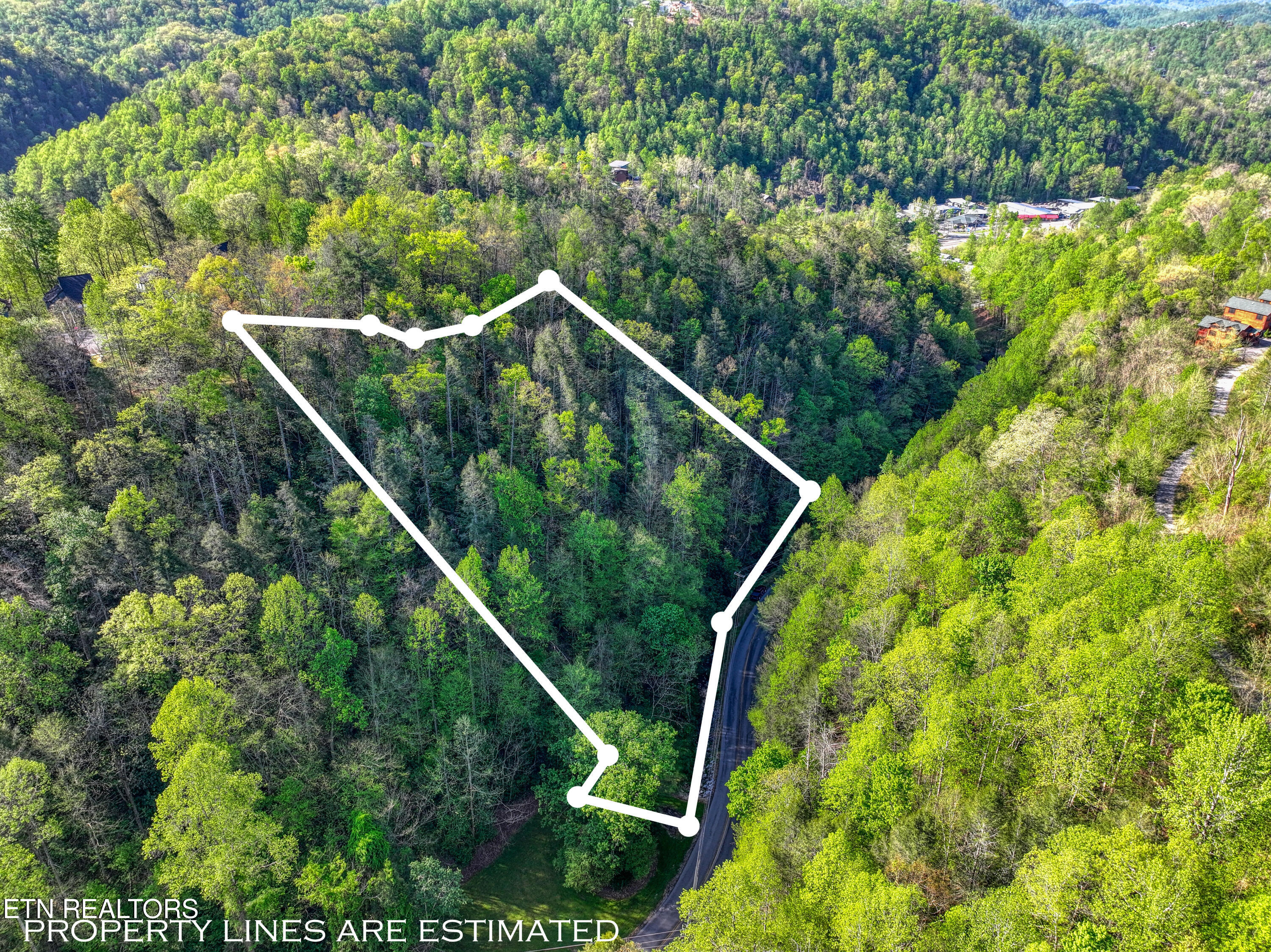 Cartertown Road Gatlinburg TN 37738