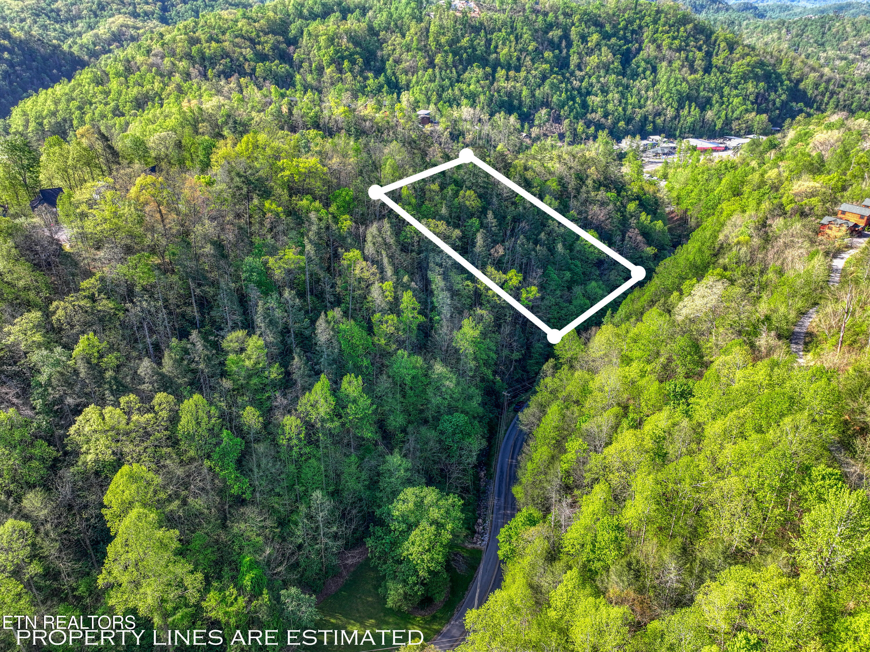 Cartertown Road Gatlinburg TN 37738