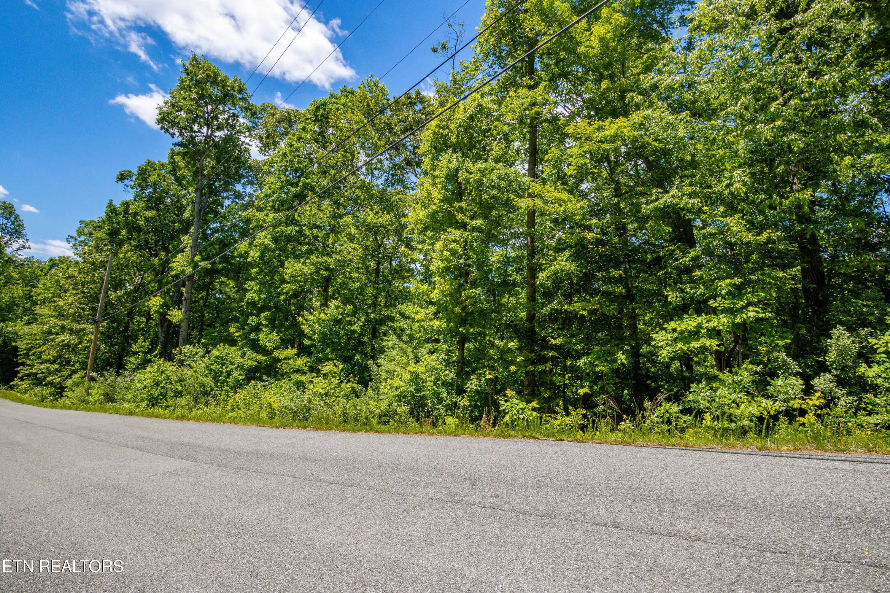 Saddleridge Drive Speedwell TN 37870