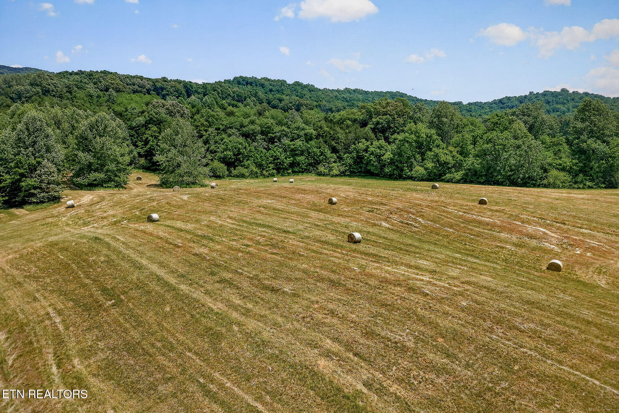 1372 Plum Creek Road Sparta TN 38583