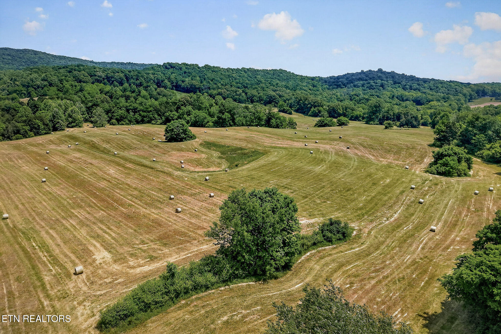 1372 Plum Creek Road Sparta TN 38583