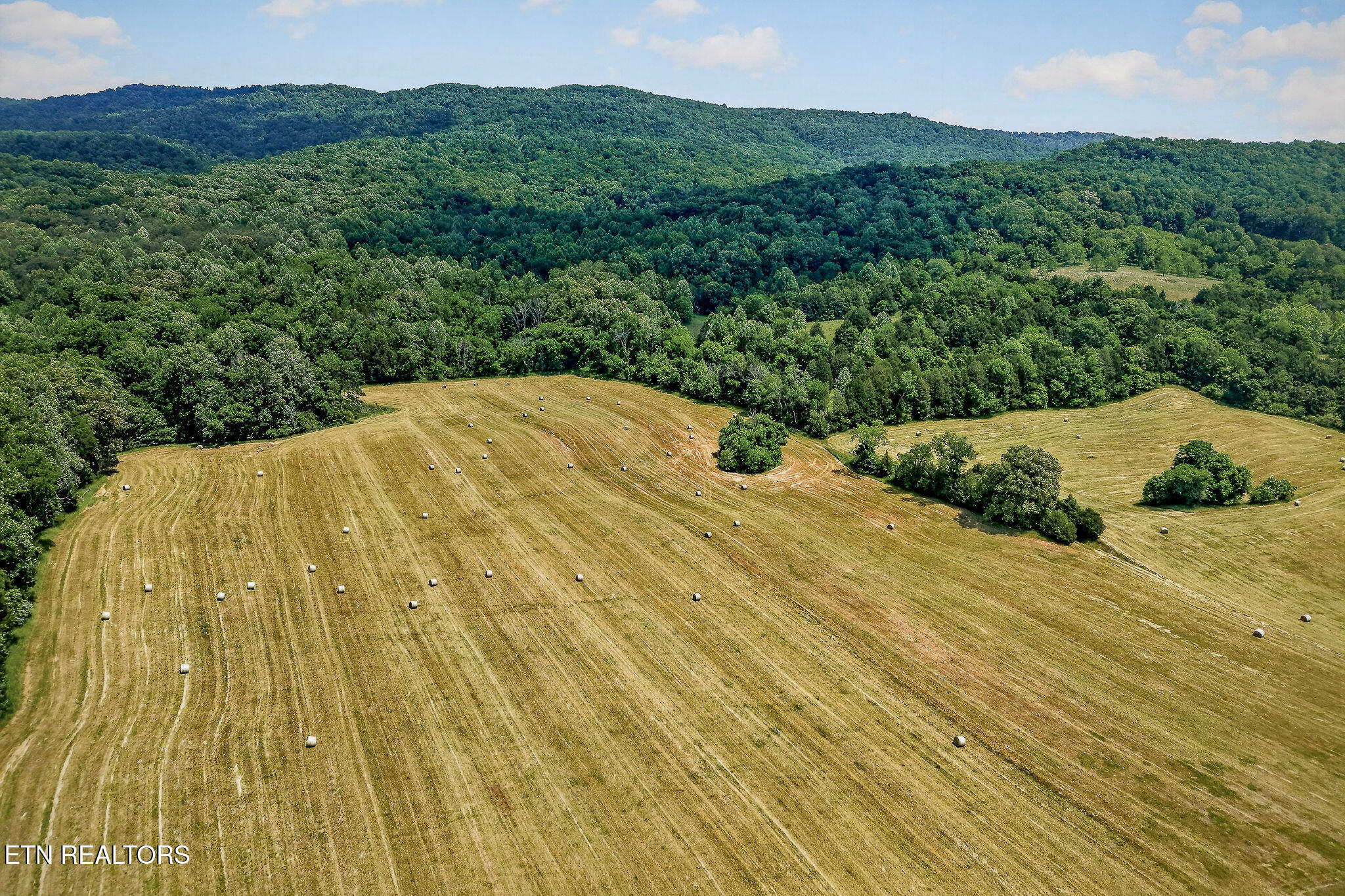 1372 Plum Creek Road Sparta TN 38583