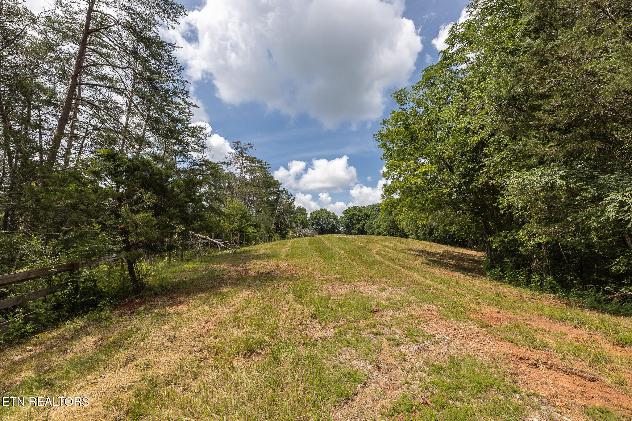 Marble Hill Road (8+ Acres) Friendsville TN 37737