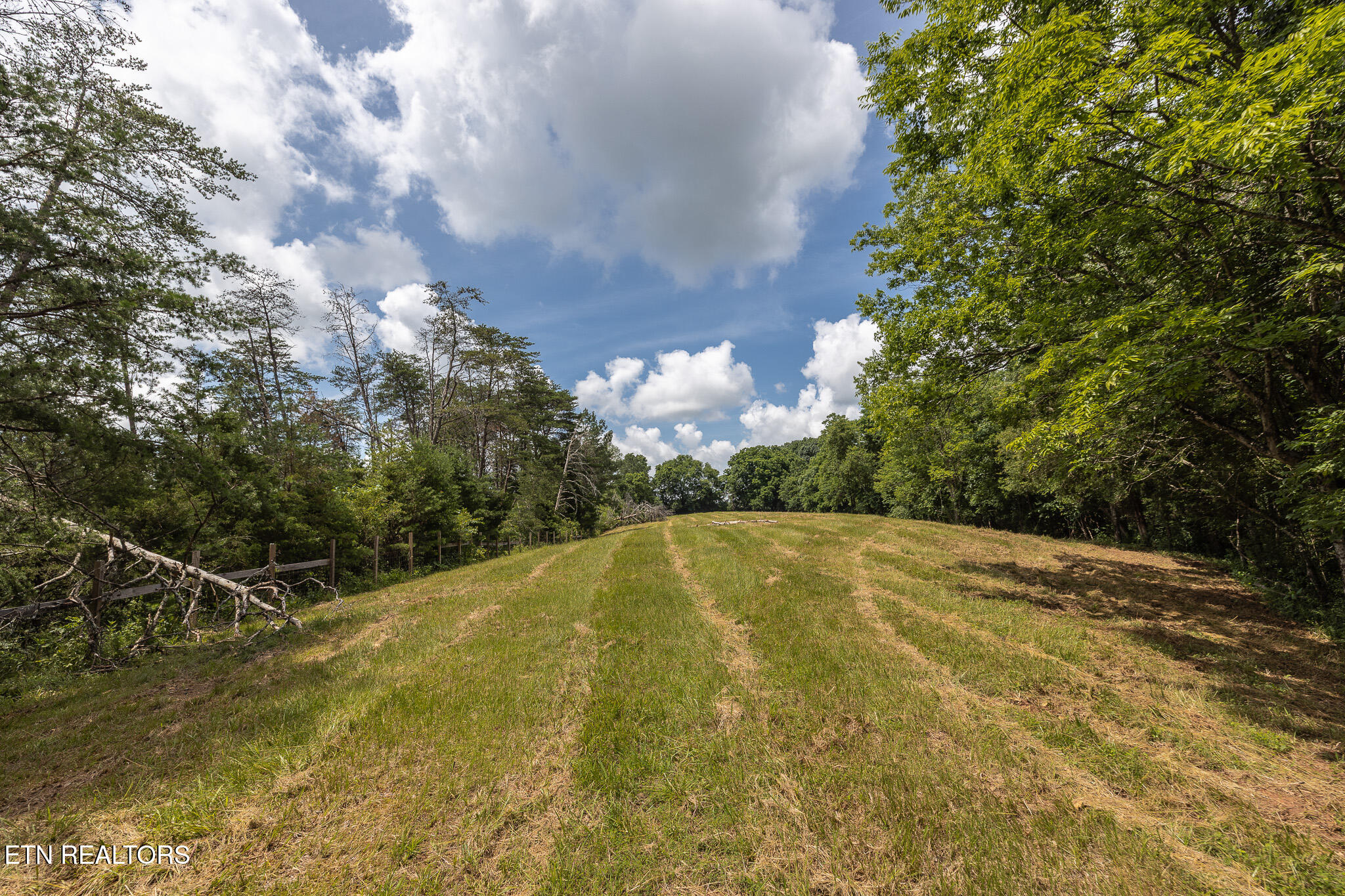 Marble Hill Road (8+ Acres) Friendsville TN 37737
