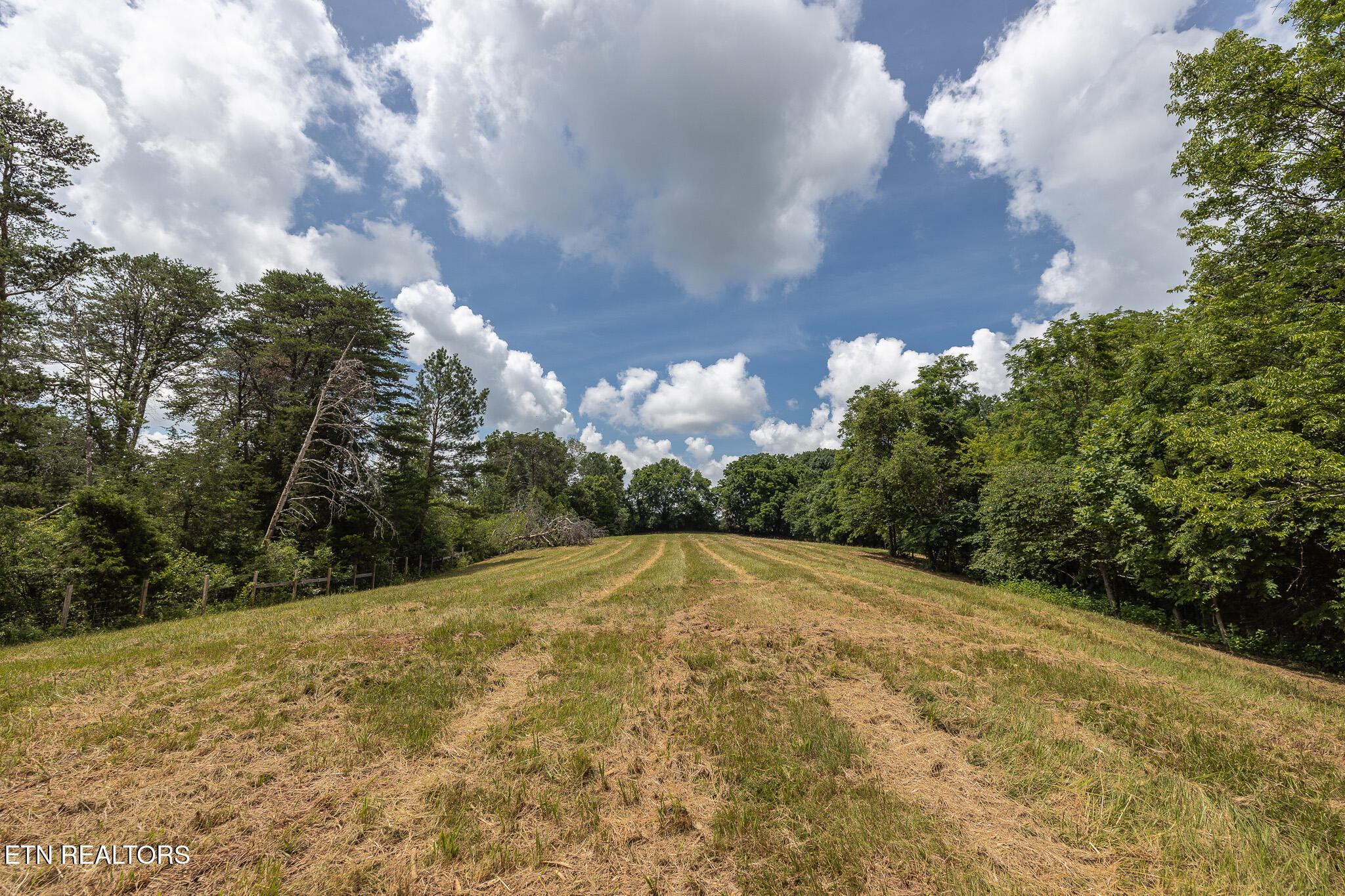Marble Hill Road (8+ Acres) Friendsville TN 37737