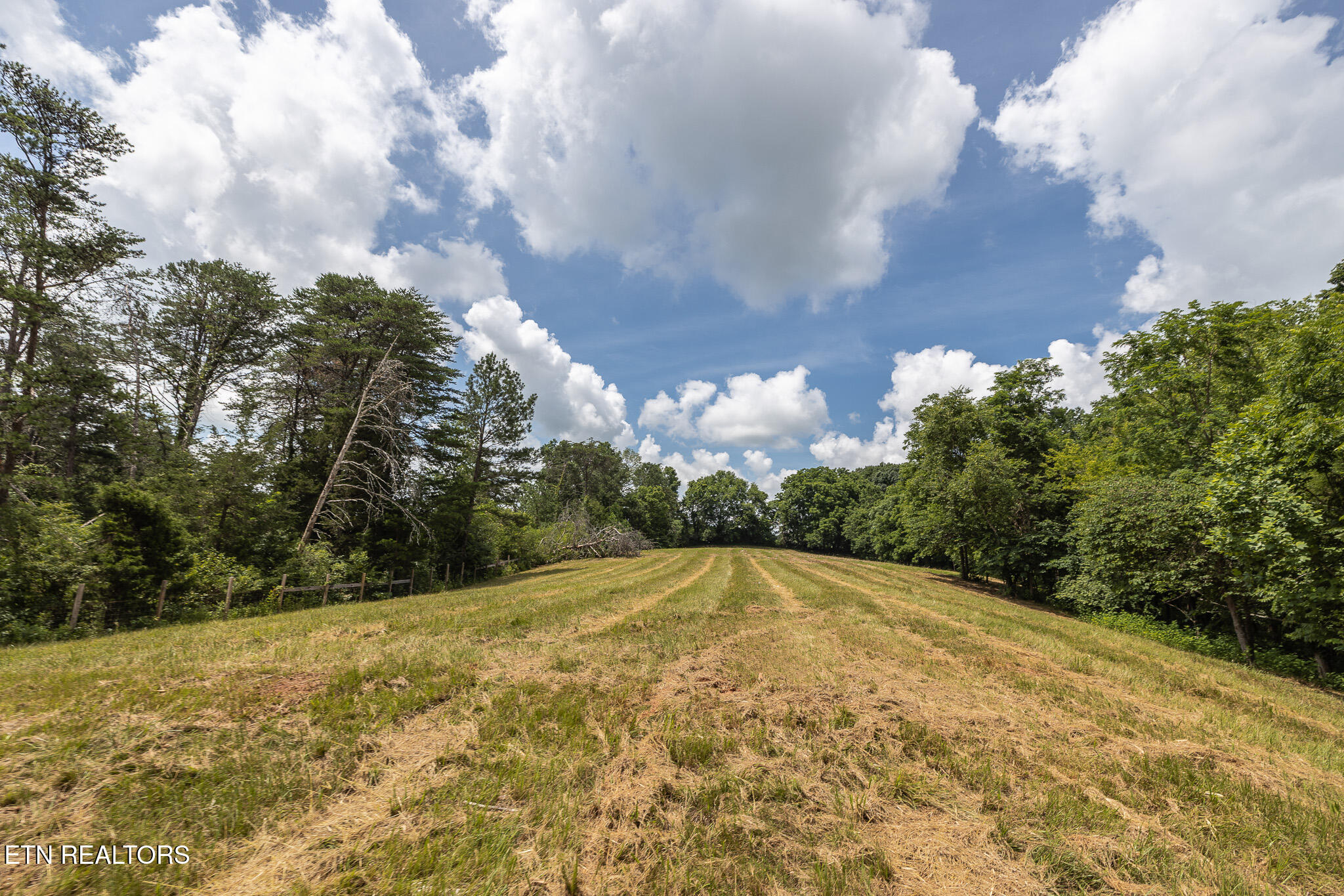 Marble Hill Road (8+ Acres) Friendsville TN 37737