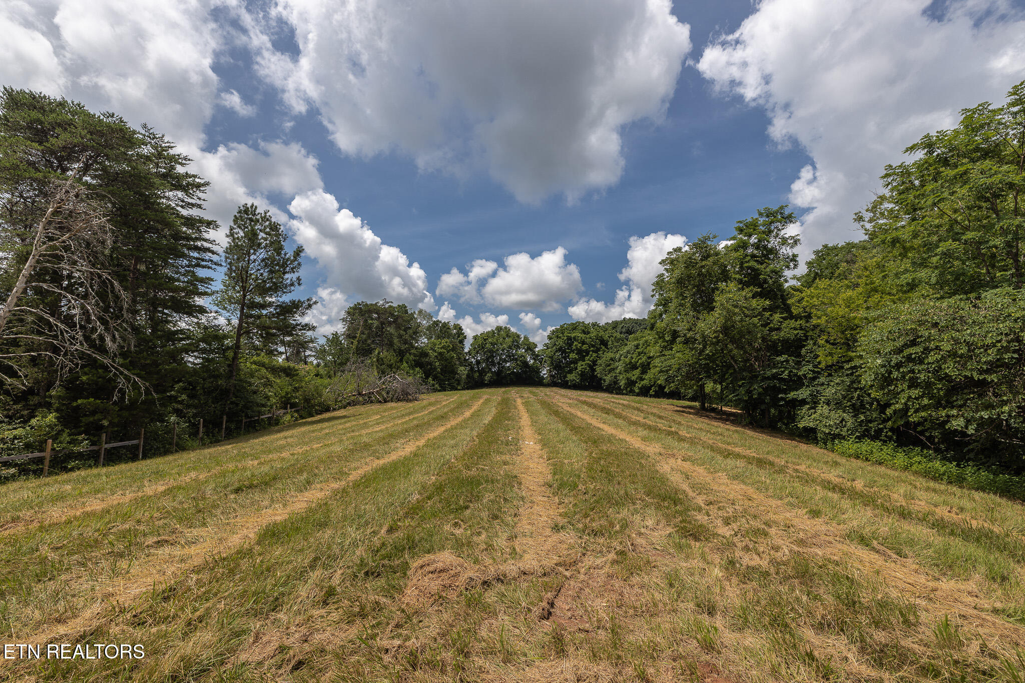 Marble Hill Road (8+ Acres) Friendsville TN 37737