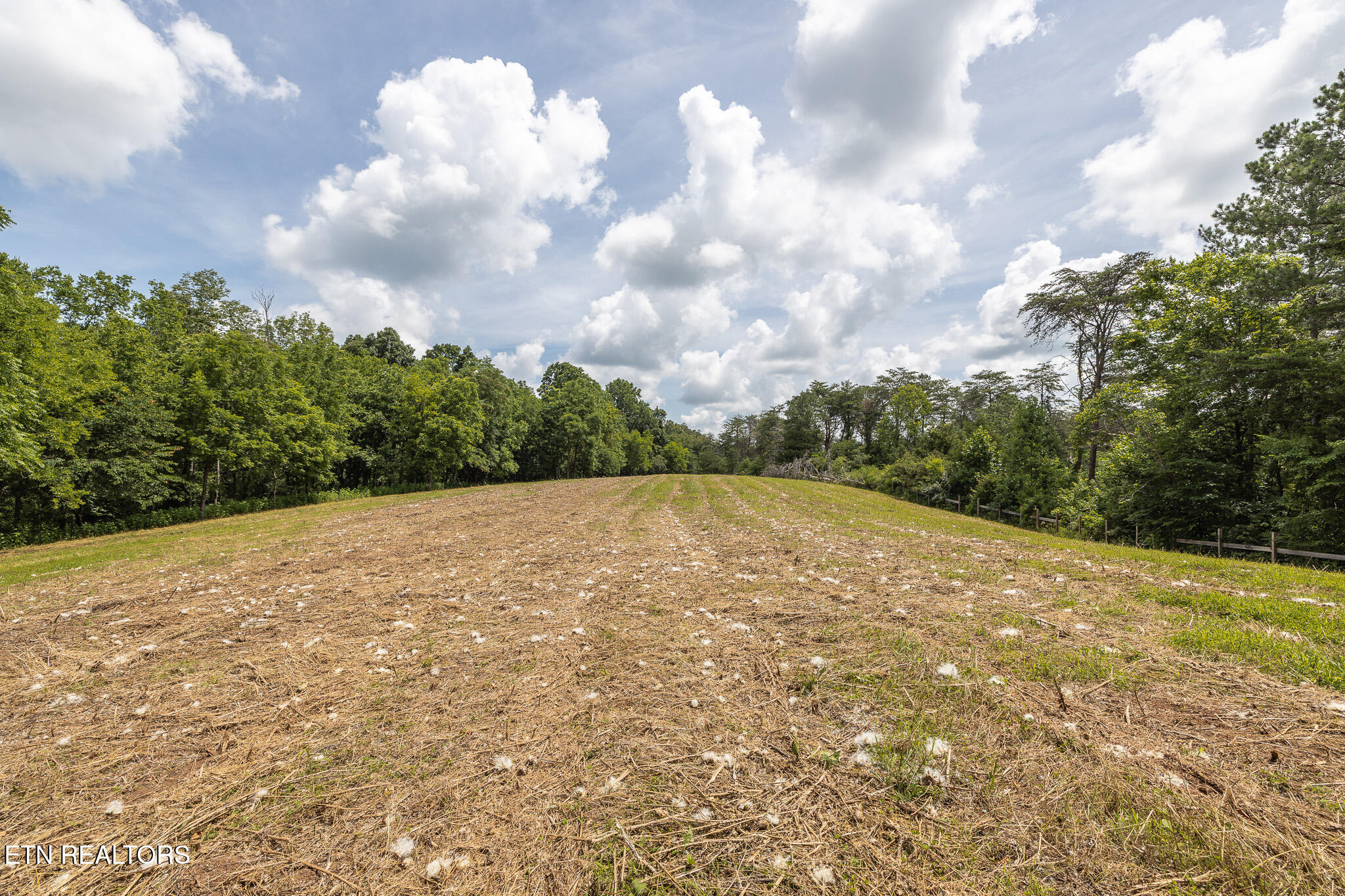 Marble Hill Road (8+ Acres) Friendsville TN 37737