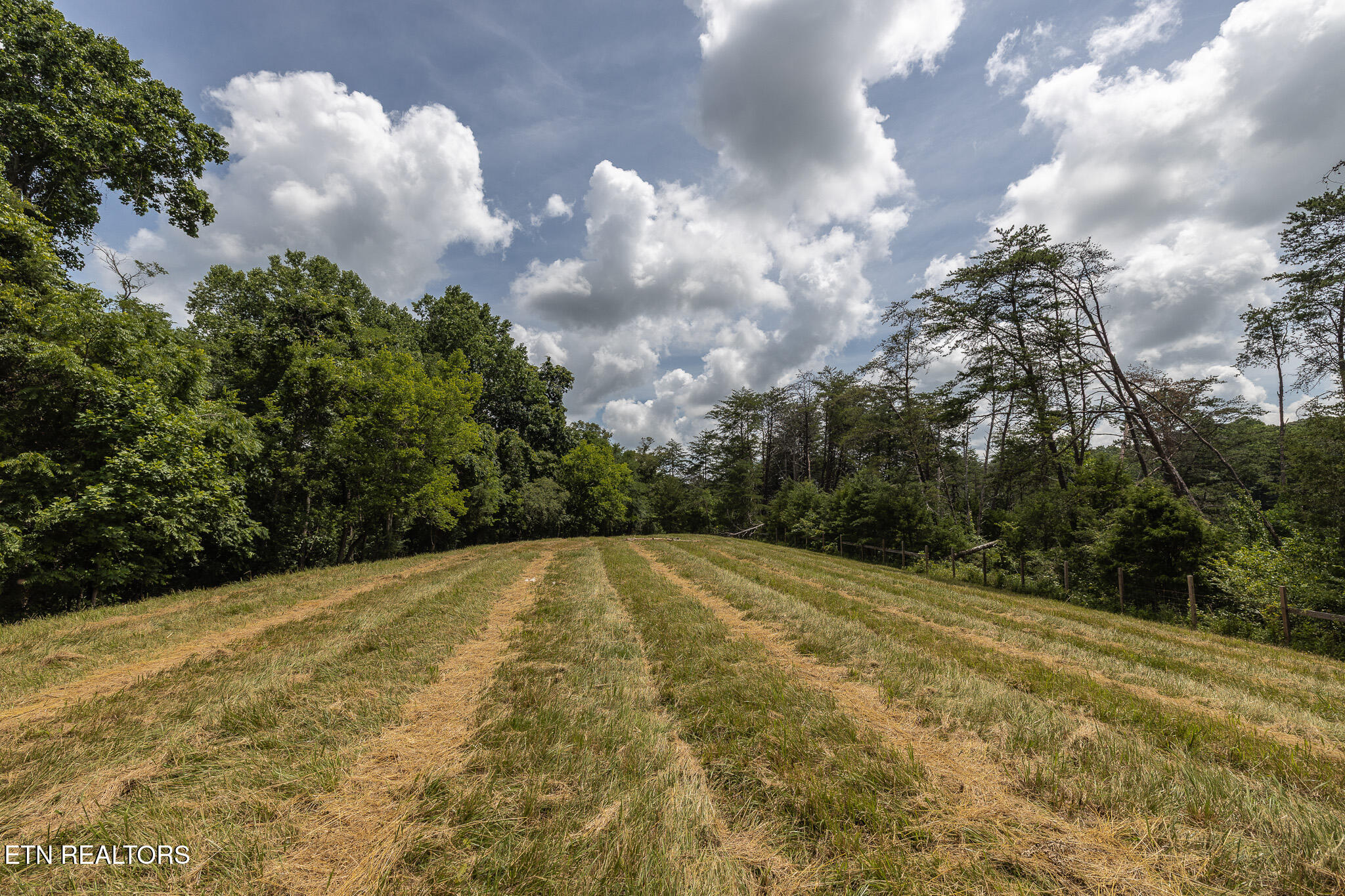 Marble Hill Road (8+ Acres) Friendsville TN 37737