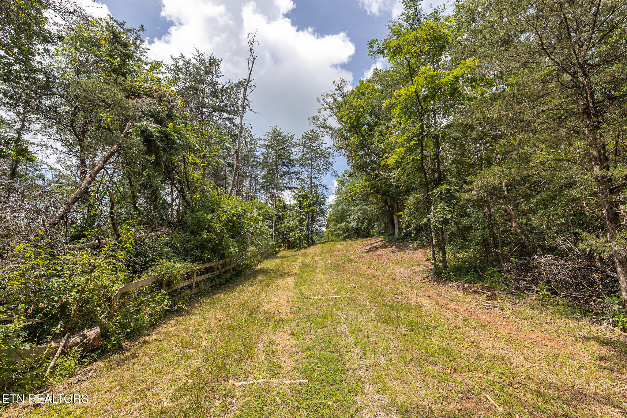 Marble Hill Road (8+ Acres) Friendsville TN 37737