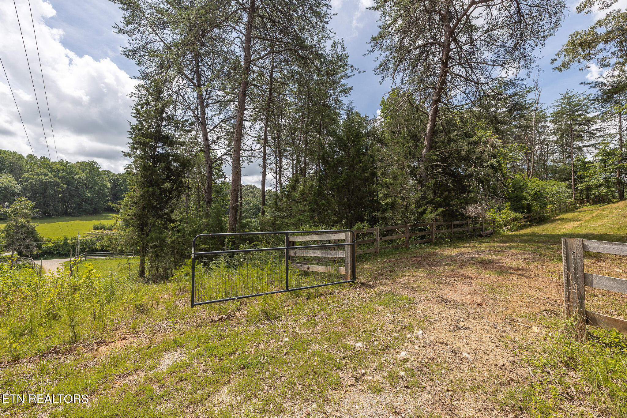 Marble Hill Road (8+ Acres) Friendsville TN 37737