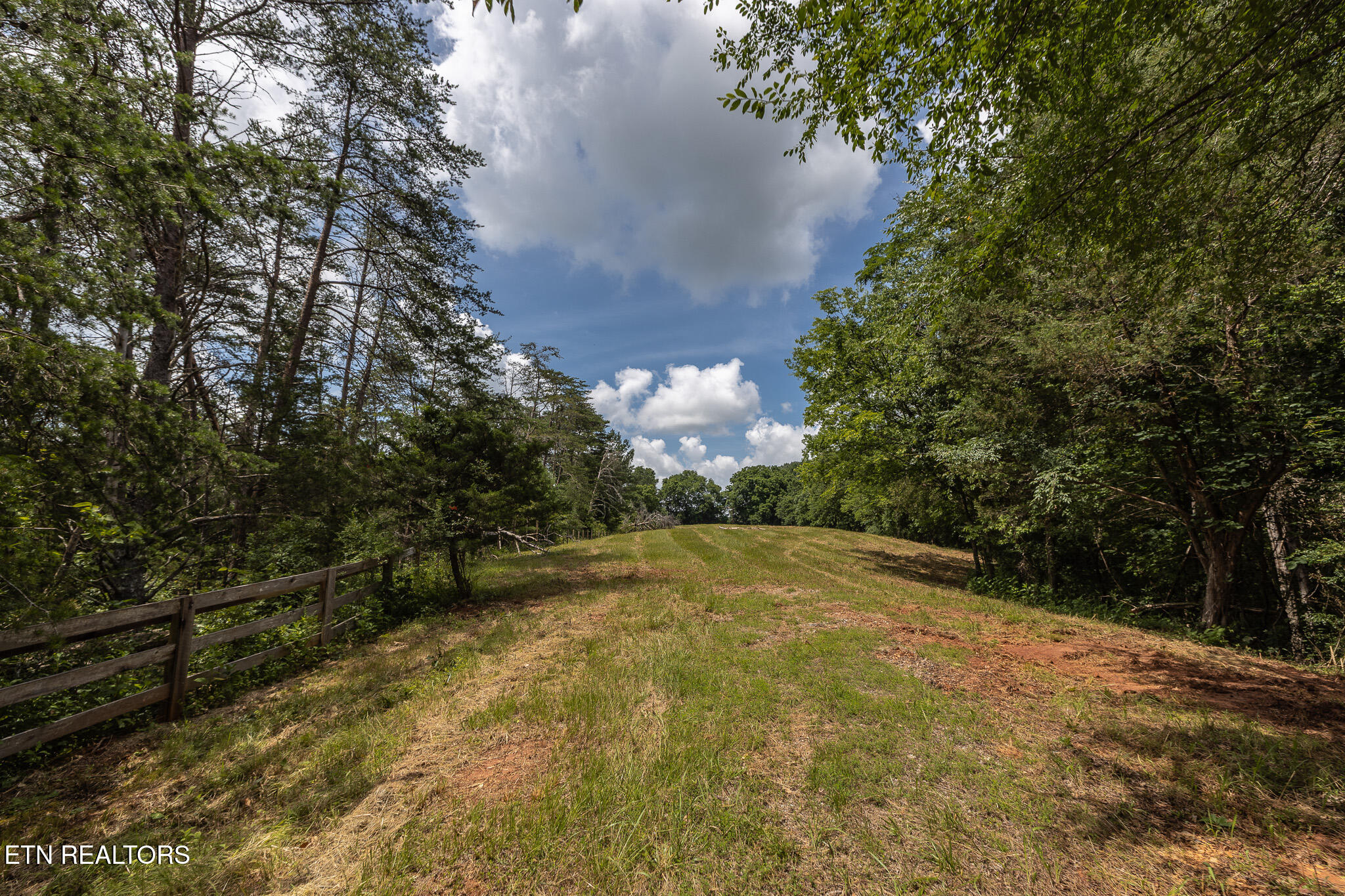 Marble Hill Road (8+ Acres) Friendsville TN 37737