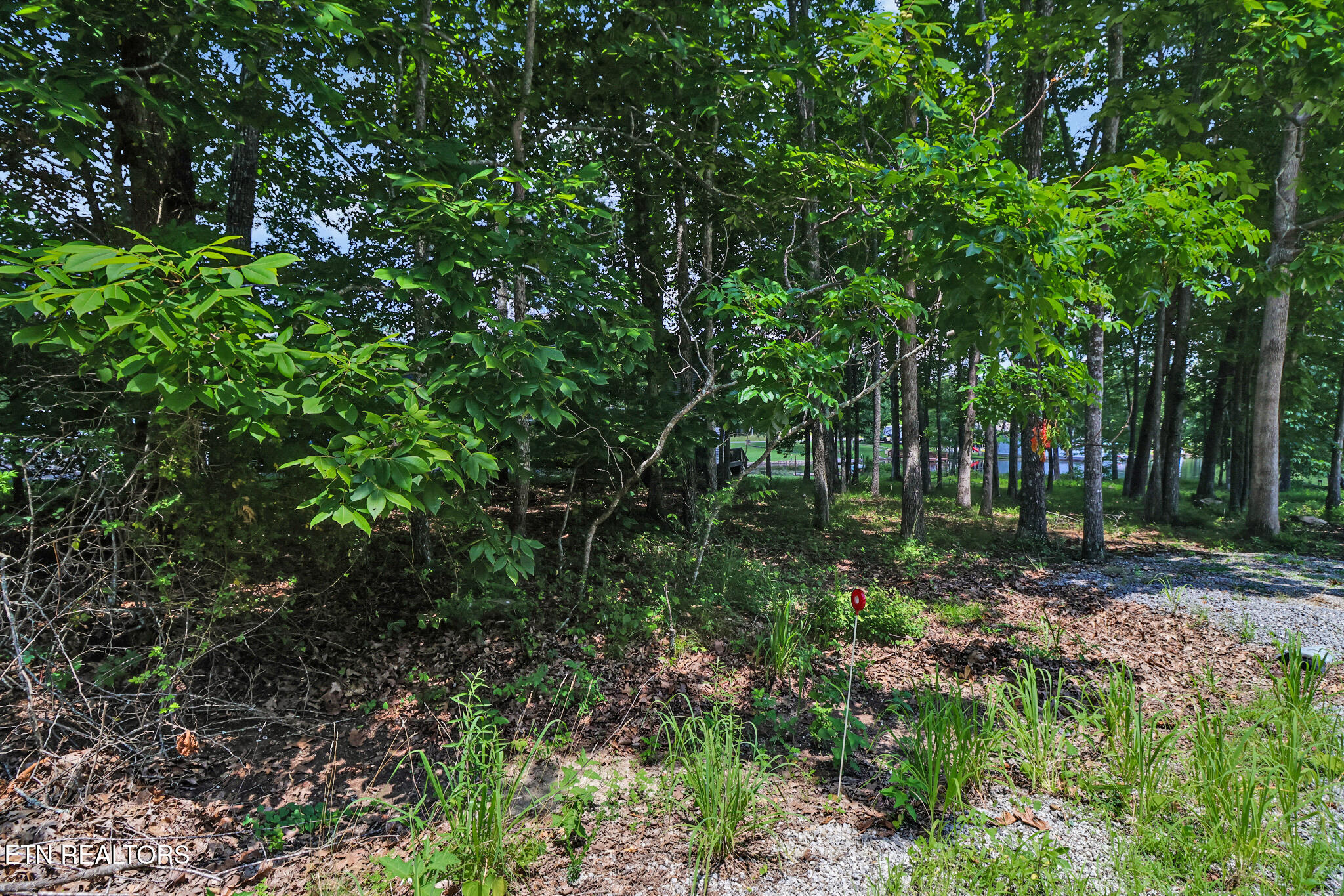 1032 Hileah Drive Crossville TN 38572