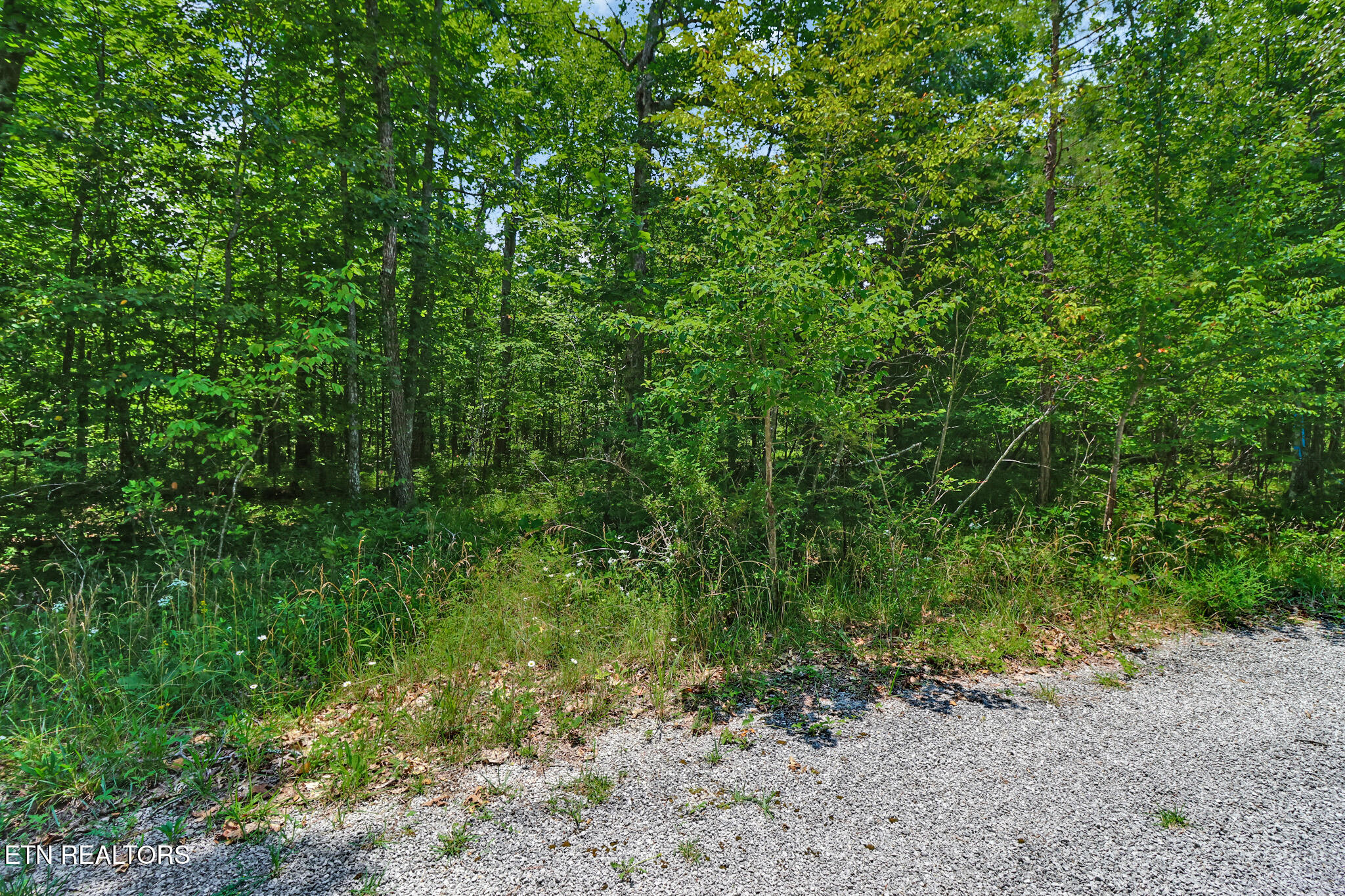 1032 Hileah Drive Crossville TN 38572