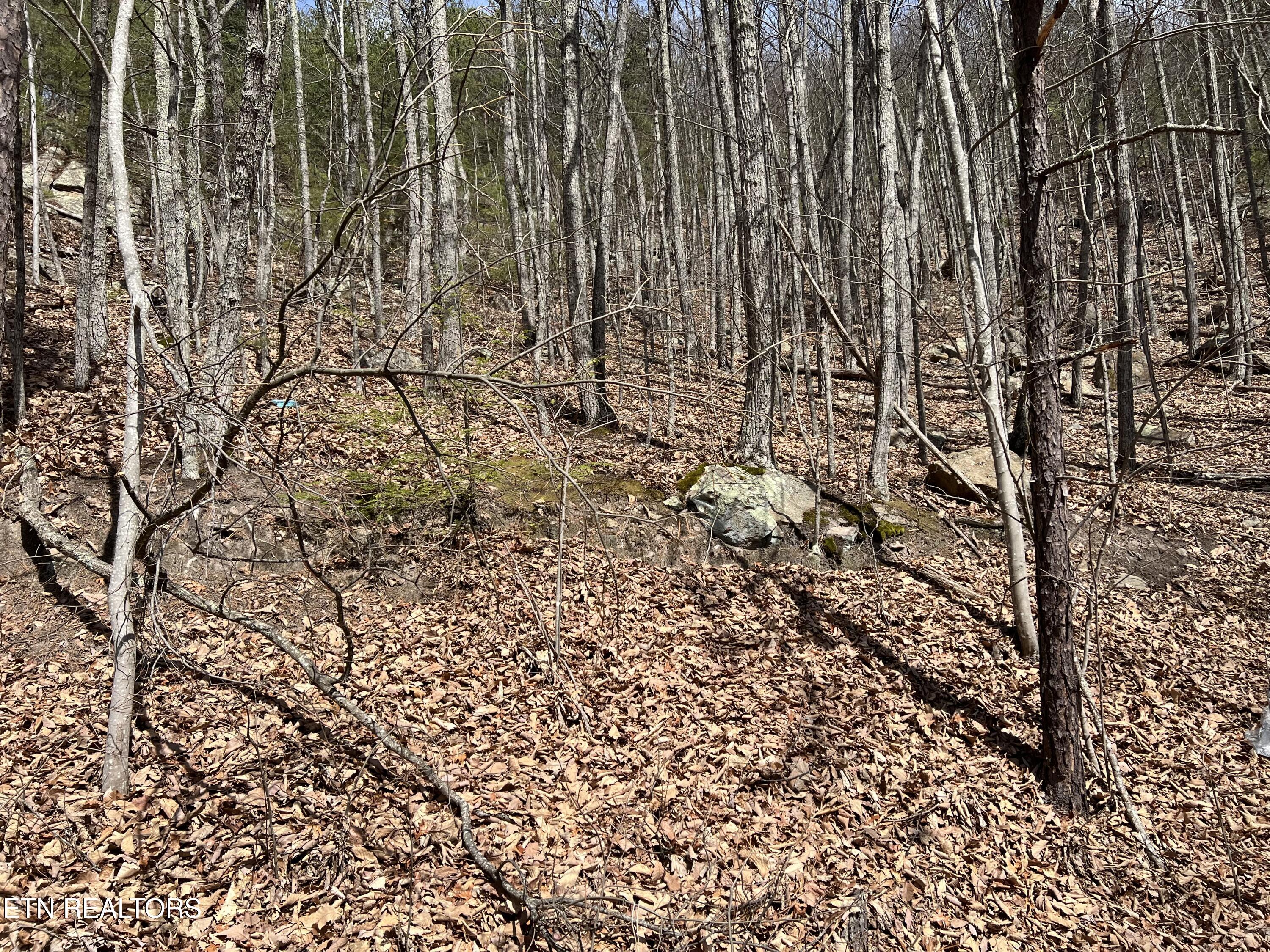 Clingmans View Sevierville TN 37876