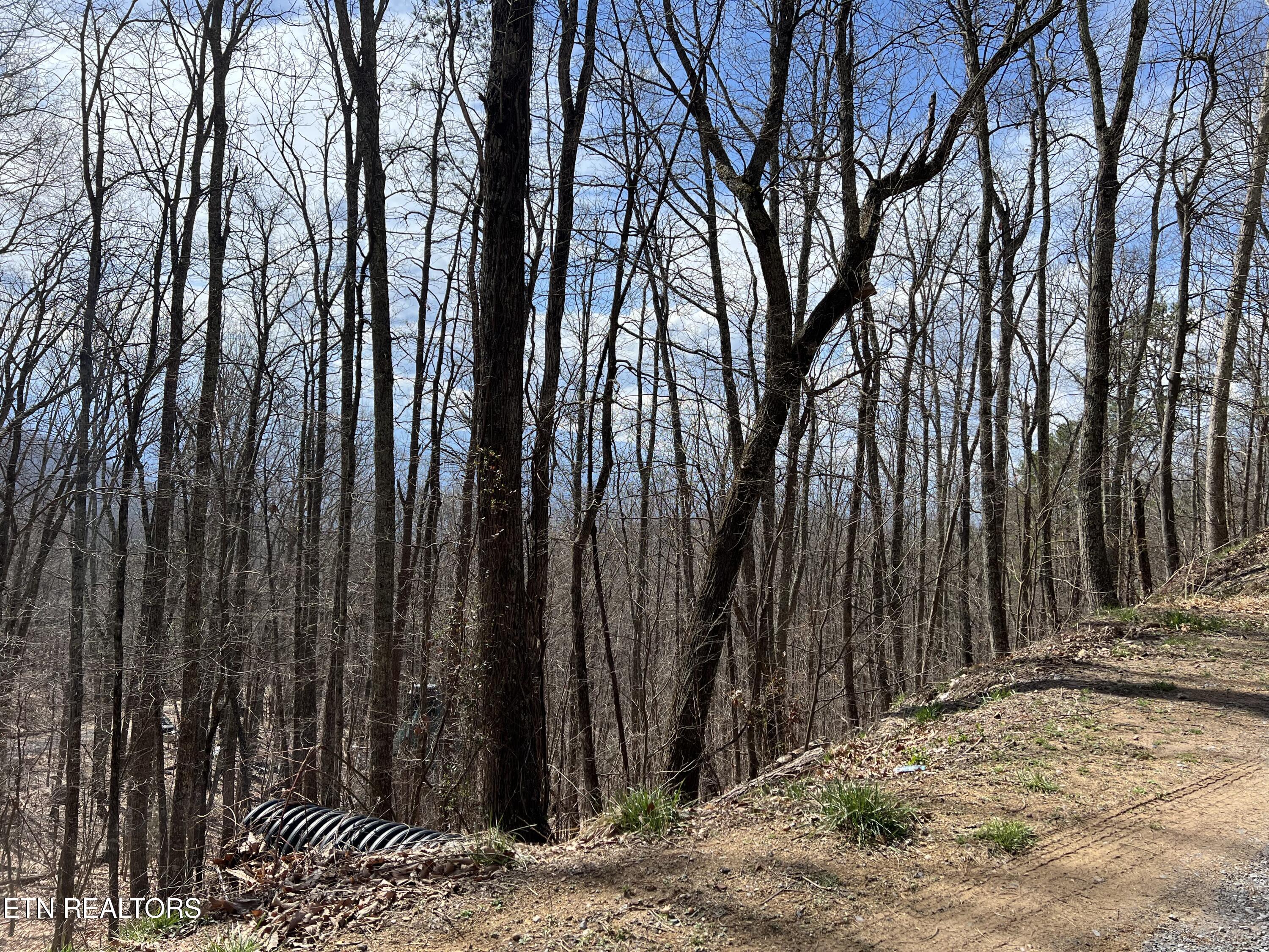 Clingmans View Sevierville TN 37876