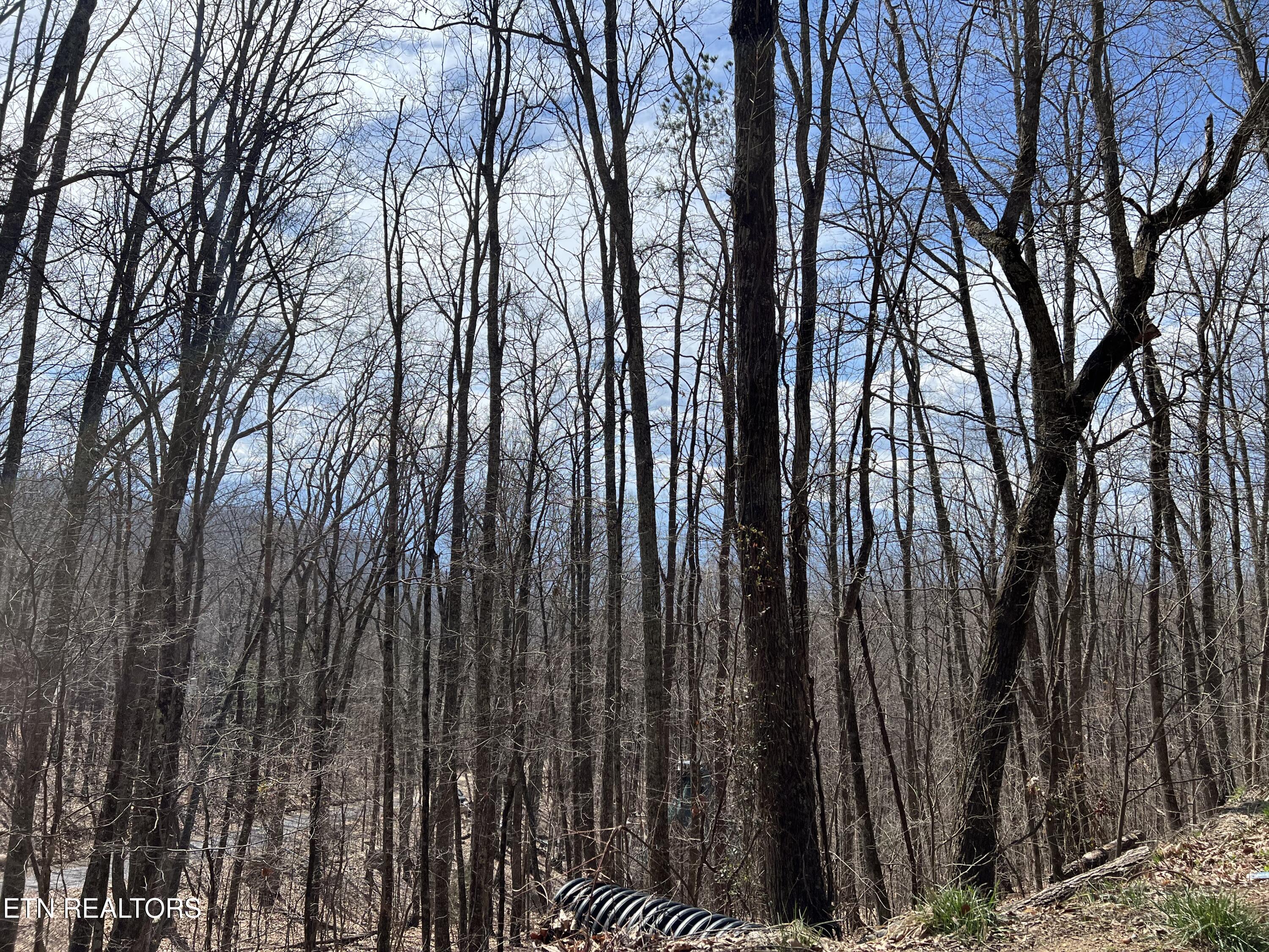 Clingmans View Sevierville TN 37876