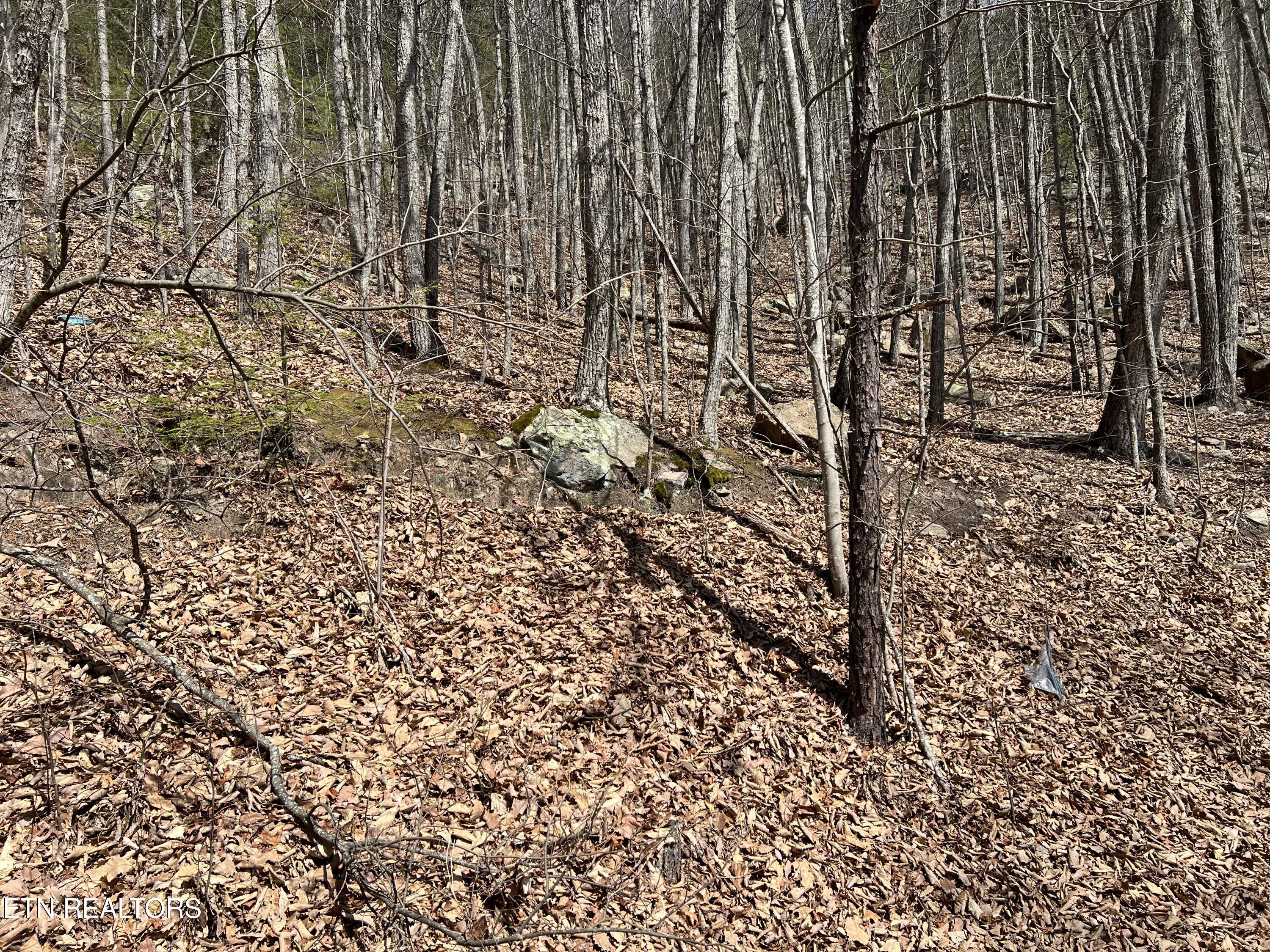 Clingmans View Sevierville TN 37876