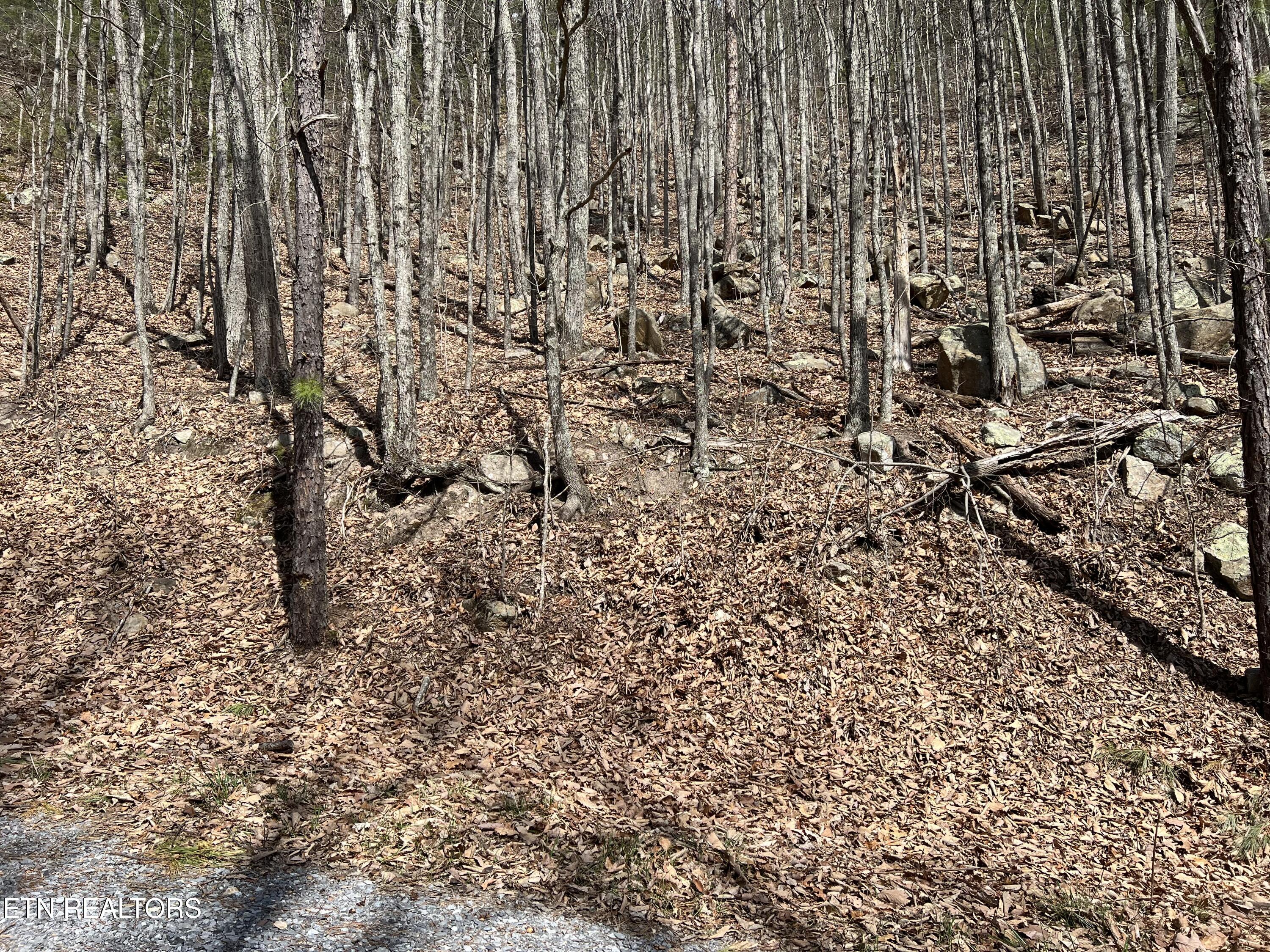 Clingmans View Sevierville TN 37876