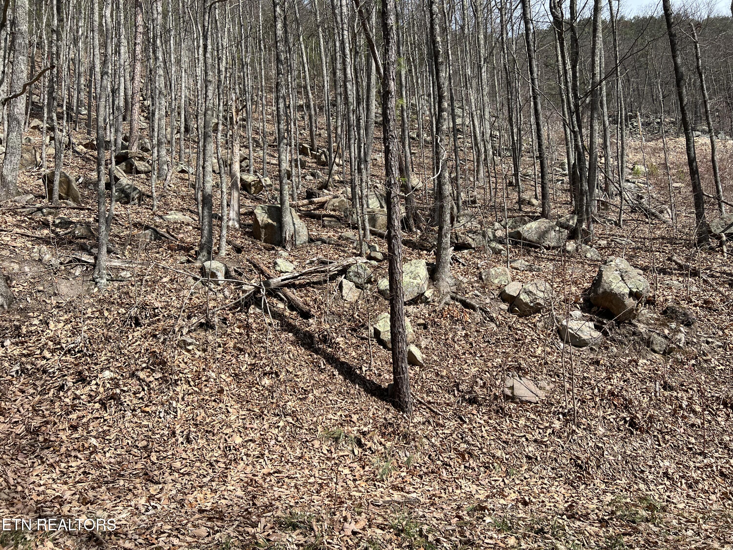 Clingmans View Sevierville TN 37876