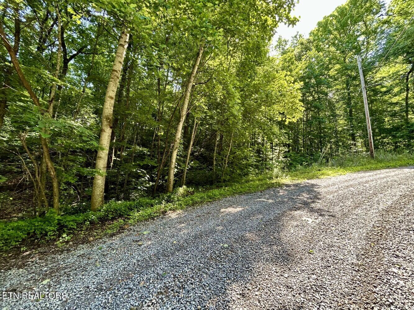 Tbd Grand Country Drive Cosby TN 37722