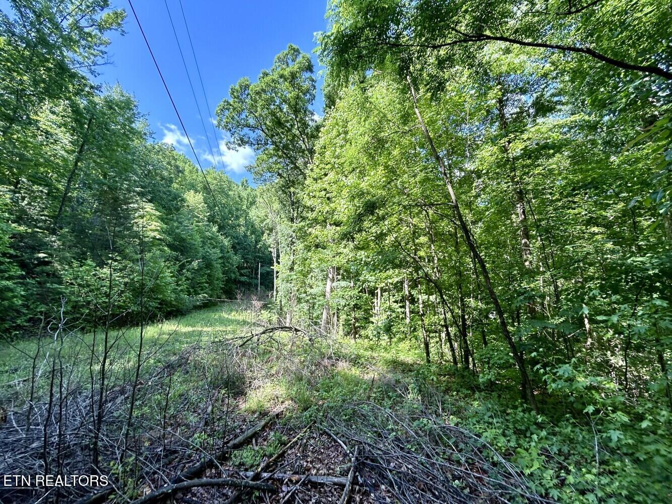 Tbd Grand Country Drive Cosby TN 37722