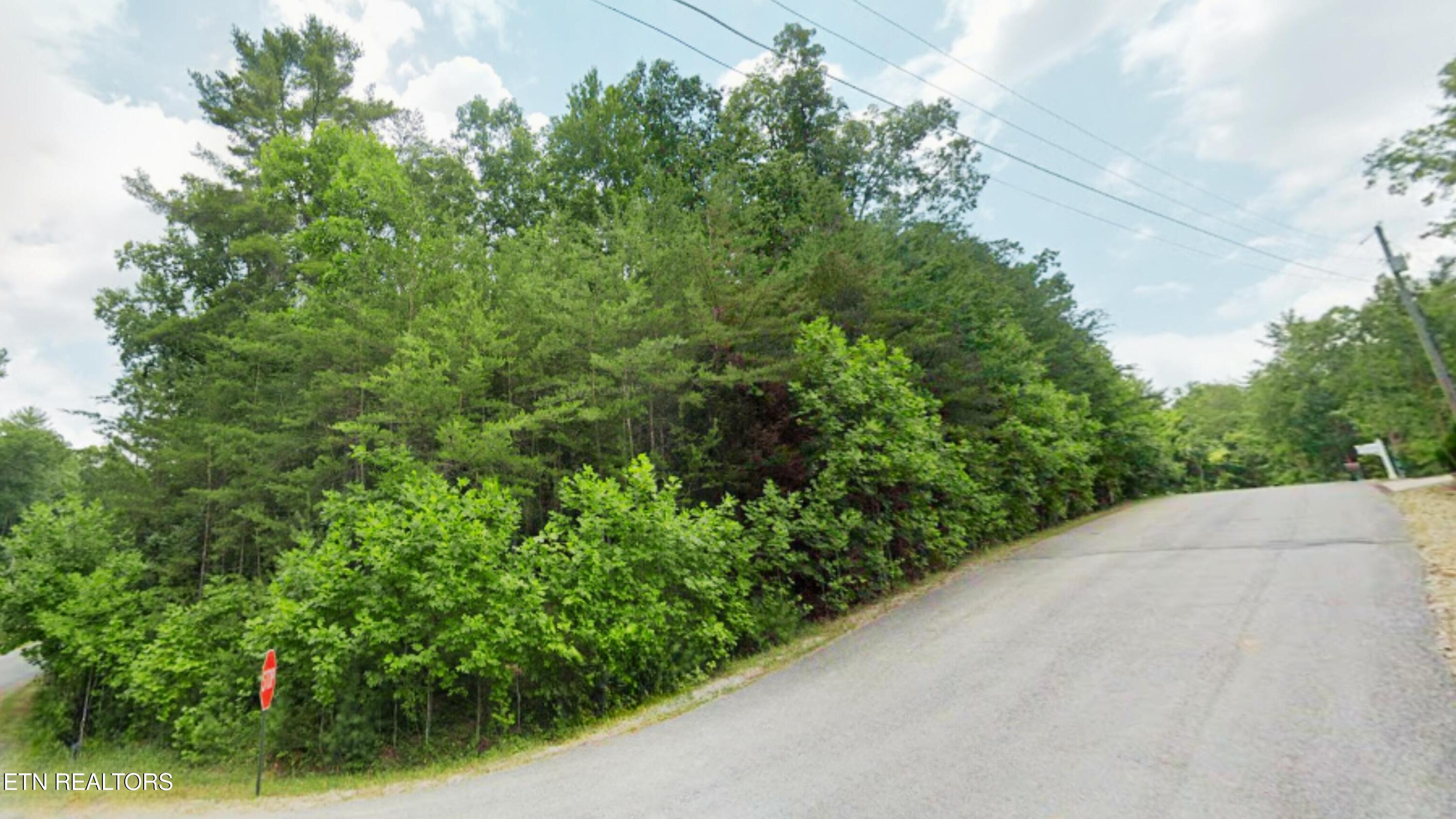41 Chinbrook Crossville TN 38558