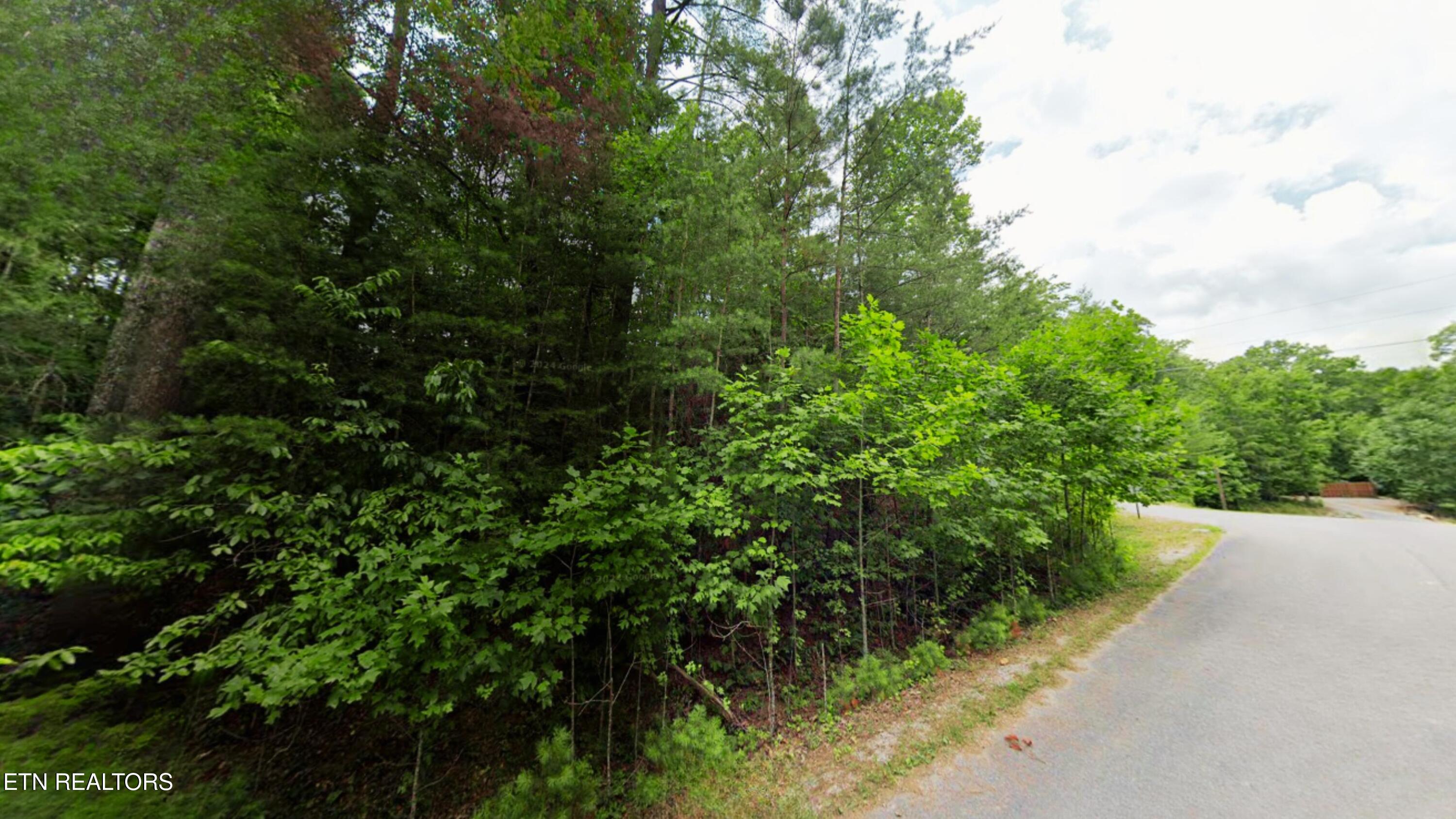 41 Chinbrook Crossville TN 38558