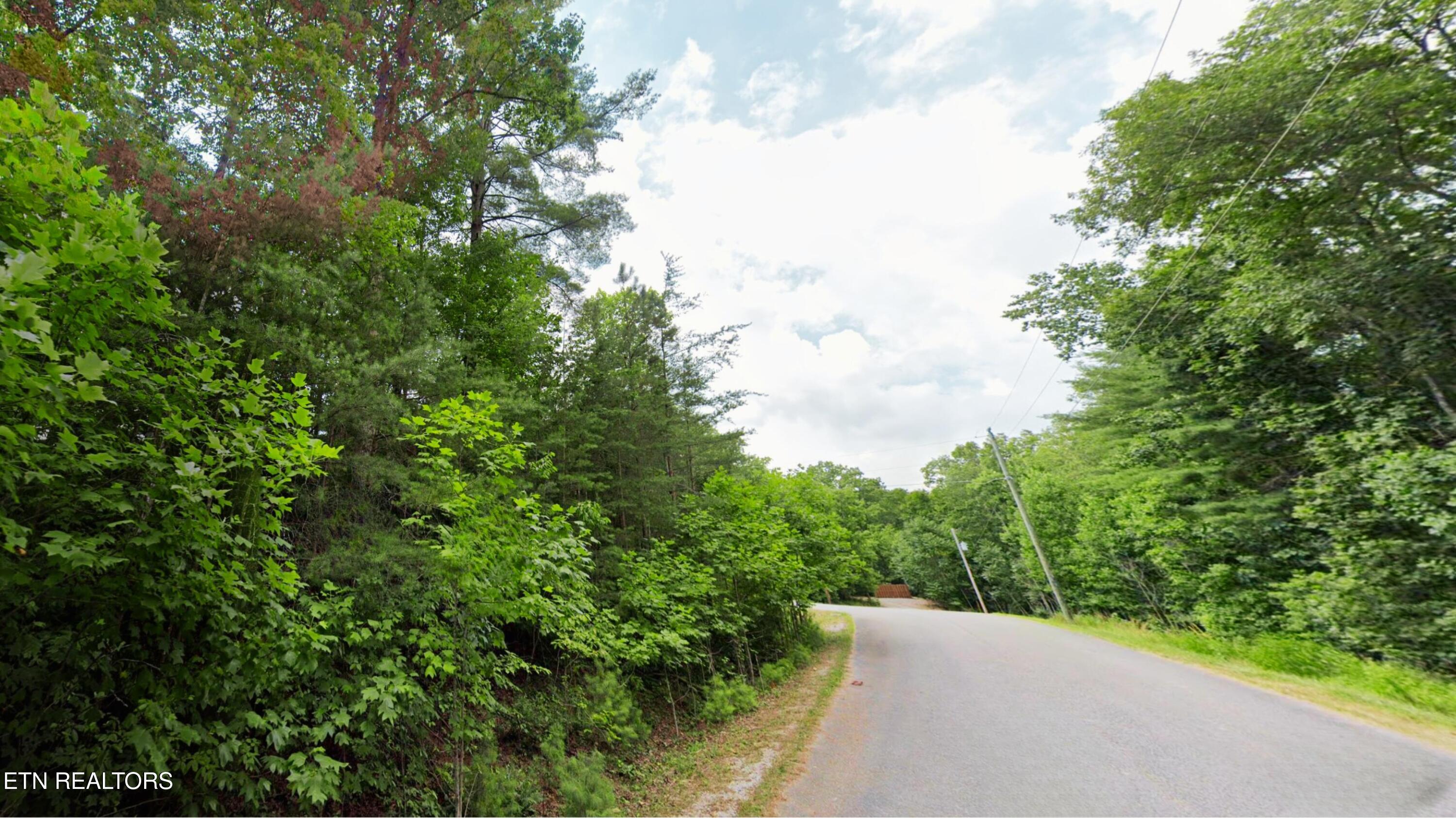 41 Chinbrook Crossville TN 38558