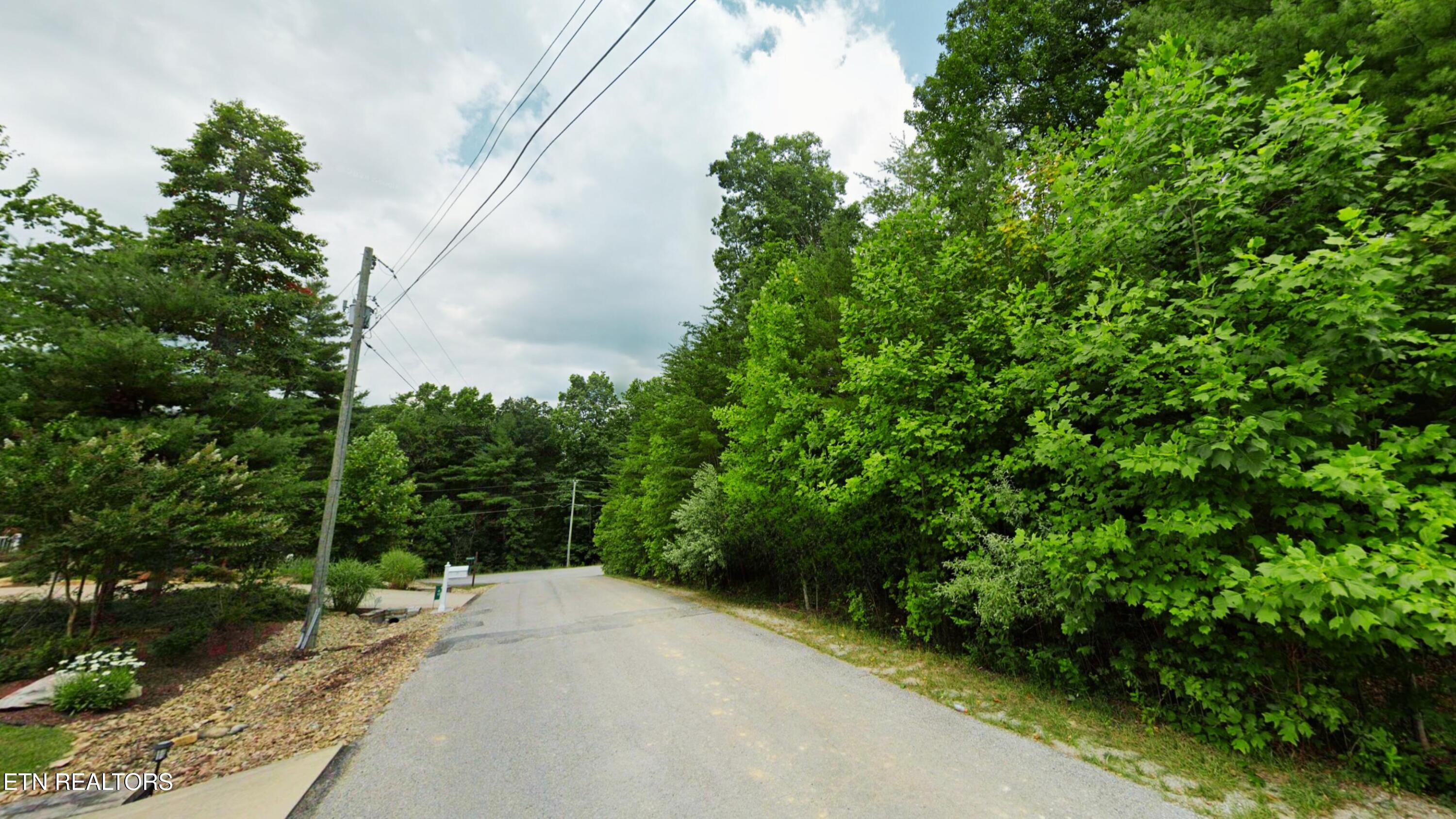 41 Chinbrook Crossville TN 38558