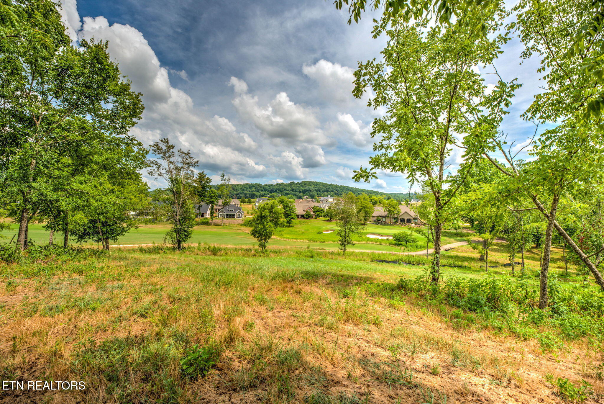 987 Mockingbird Lane Loudon TN 37774