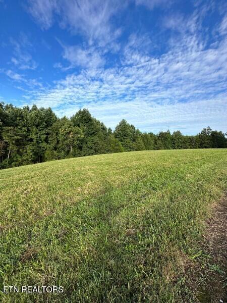 Knob Creek Road Wartrace TN