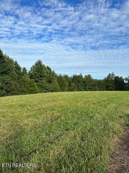 Knob Creek Road Wartrace TN