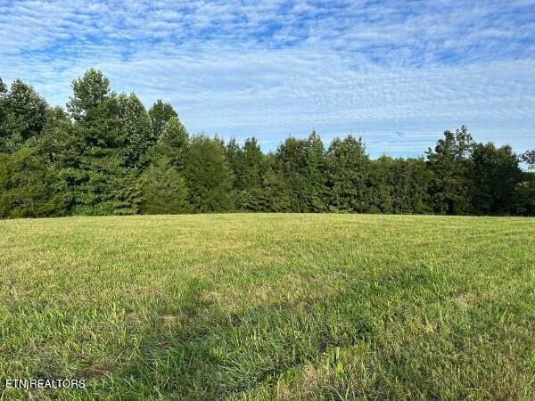 Knob Creek Road Wartrace TN
