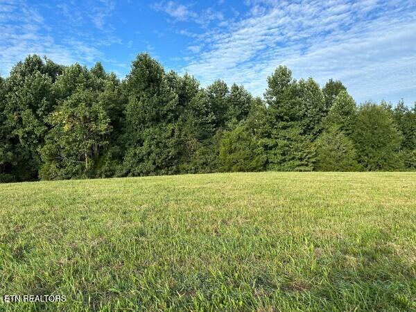 Knob Creek Road Wartrace TN
