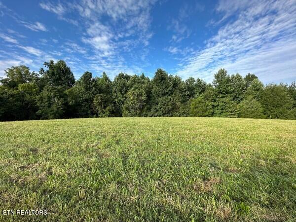 Knob Creek Road Wartrace TN