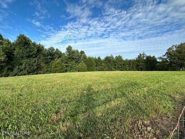 Knob Creek Road Wartrace TN