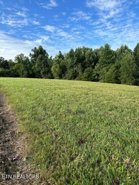 Knob Creek Road Wartrace TN
